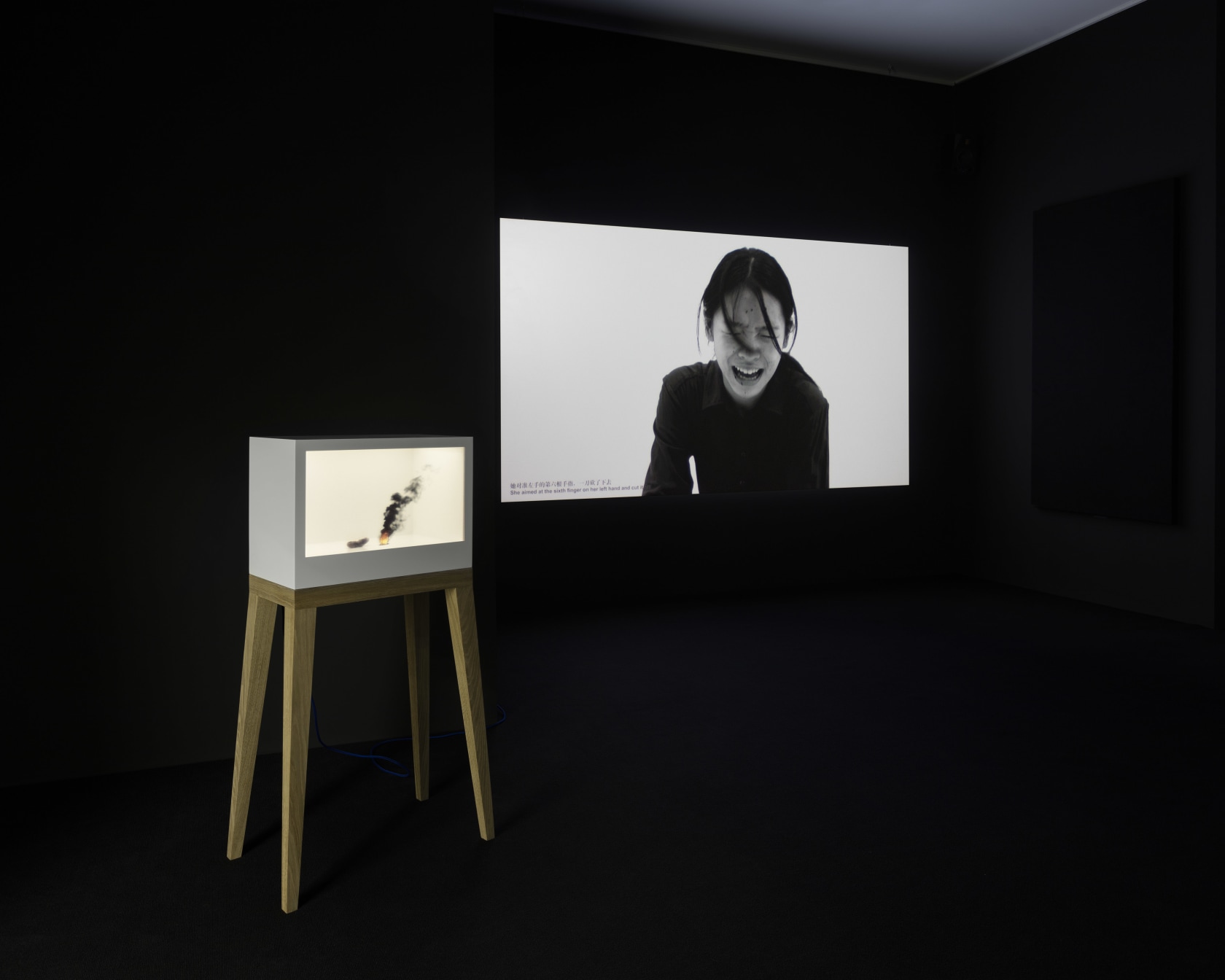 Tao Hui, Excessive, 2015