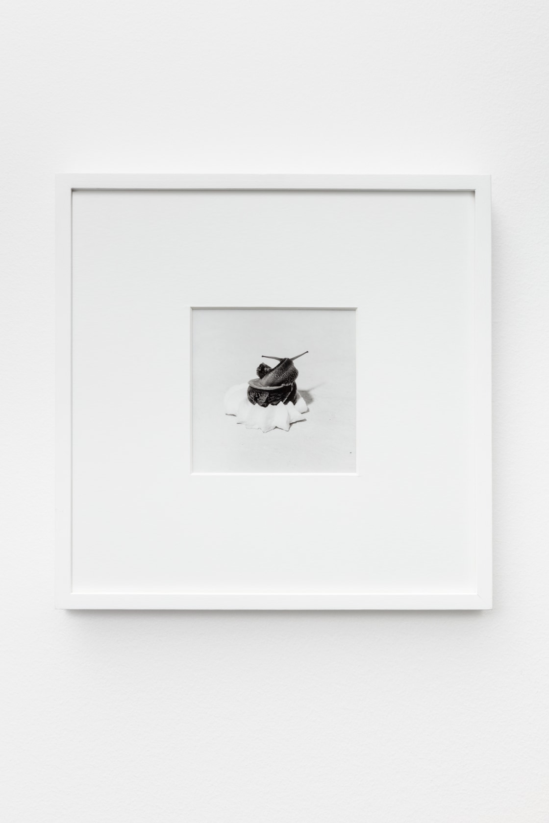 Francesco Gennari, Avendo se Stessi Come Unico Punto di Riferimento / Having Oneself as Sole Point of Reference, 2004