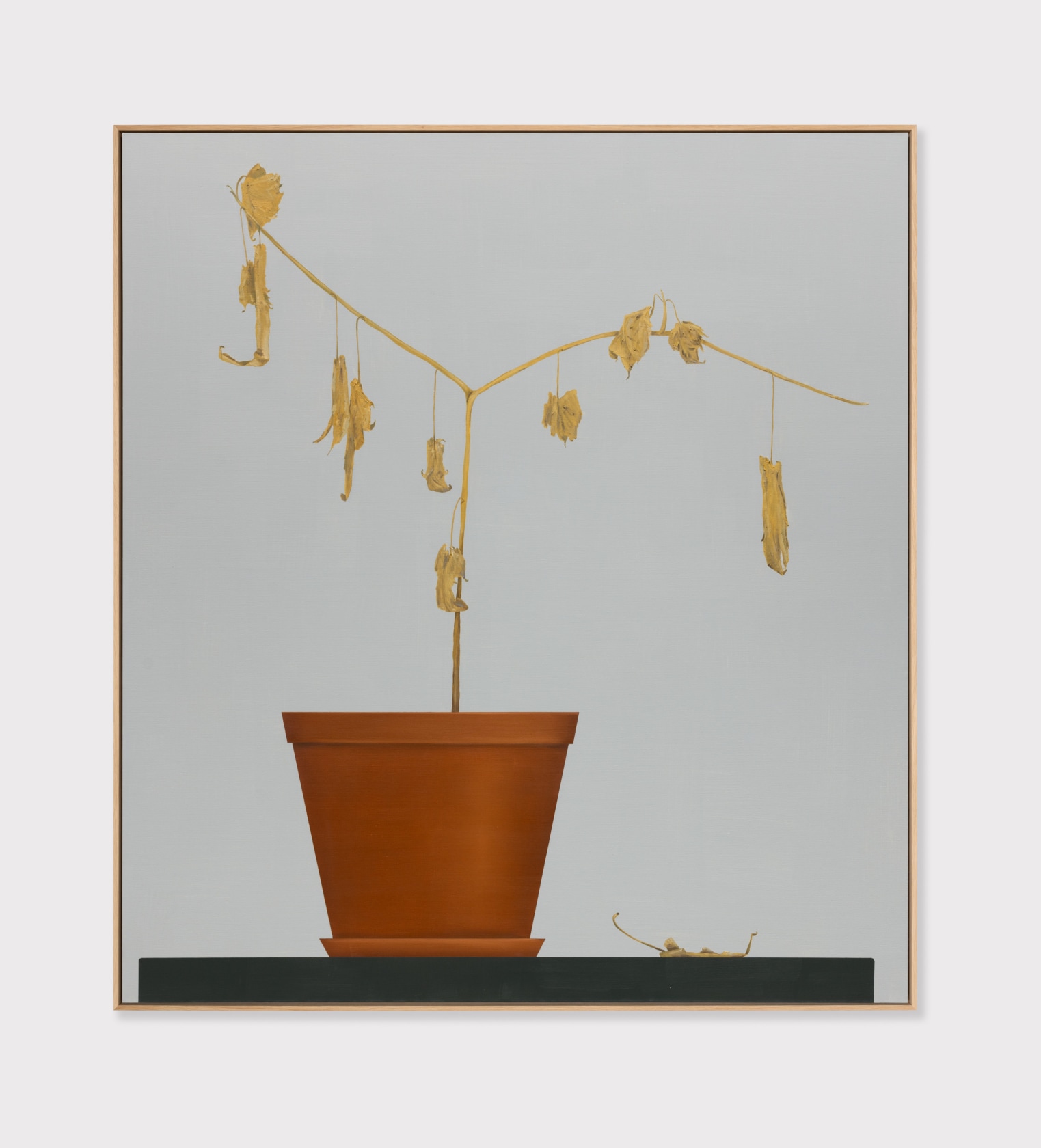 Tomasz Kręcicki, The last one, 2024