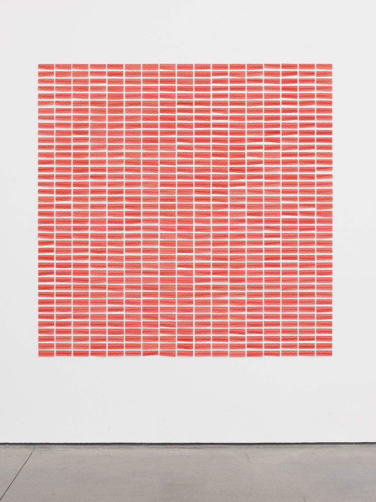 Jac Leirner, Skin (Juicy Jay's Watermelon King Size Slim), 2013