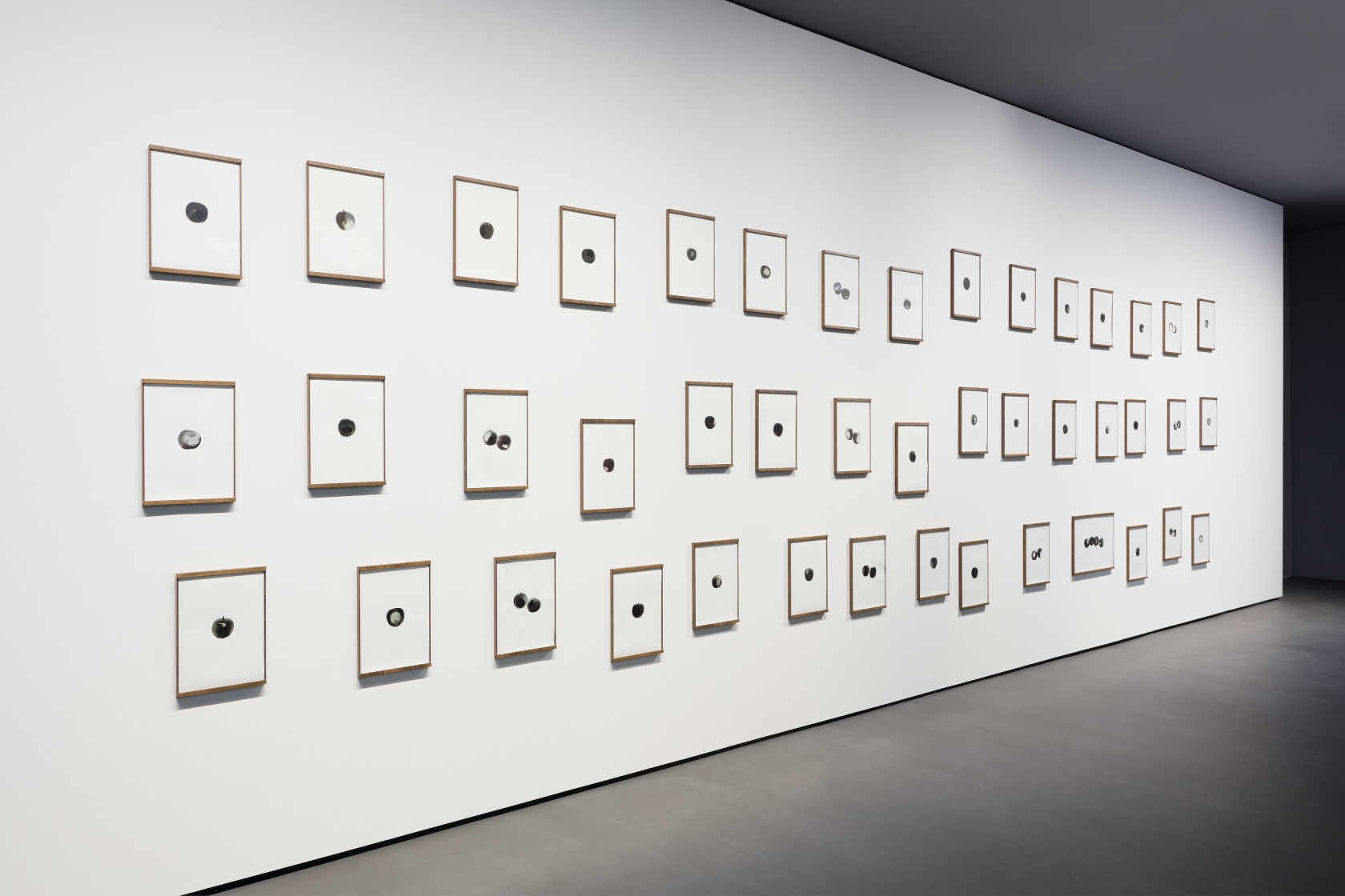 Anri Sala, Them Apples, 2017