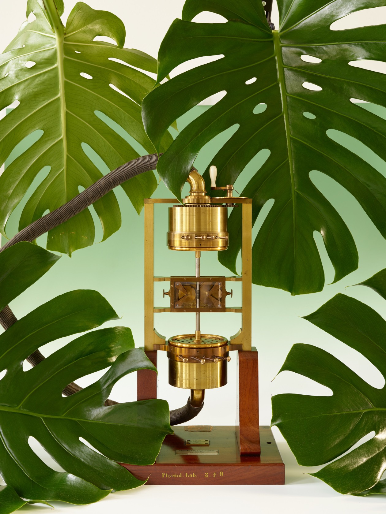 Annette Kelm, Helmholtz Sirene, 2017