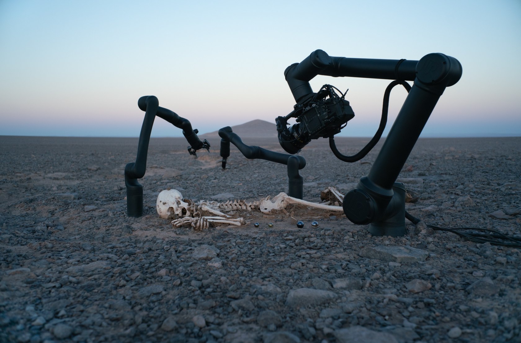 Pierre Huyghe, Camata I, 2024