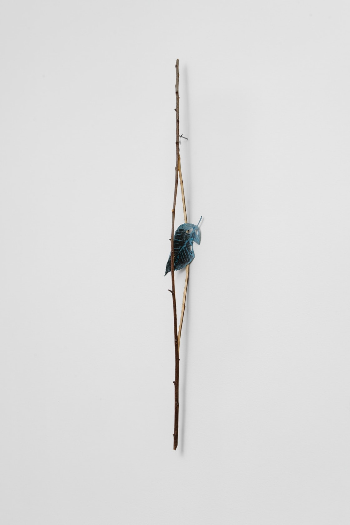 Daniel Steegmann Mangrané, Ramita with leaf, 2024