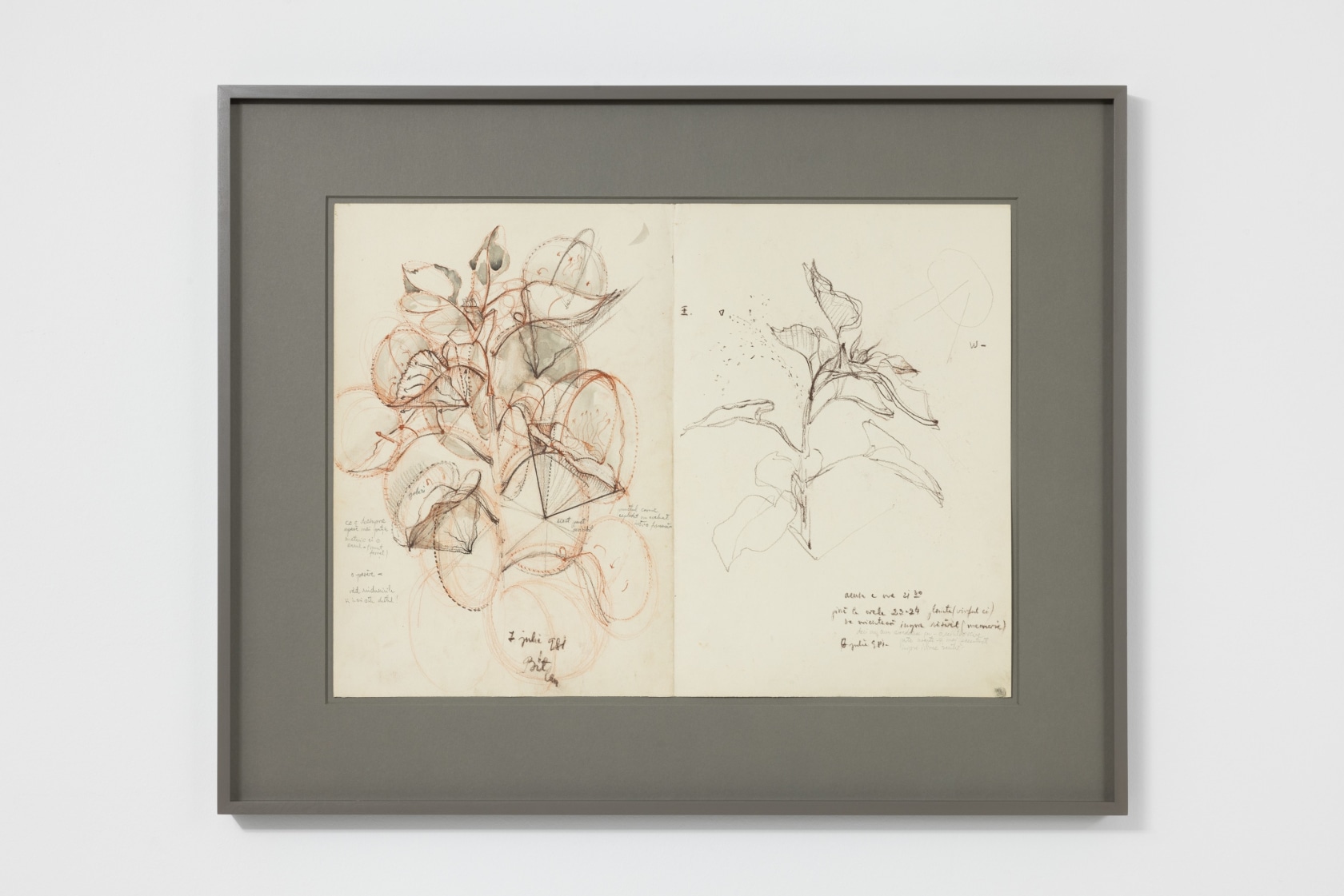 Stefan Bertalan, Blüten, 1981