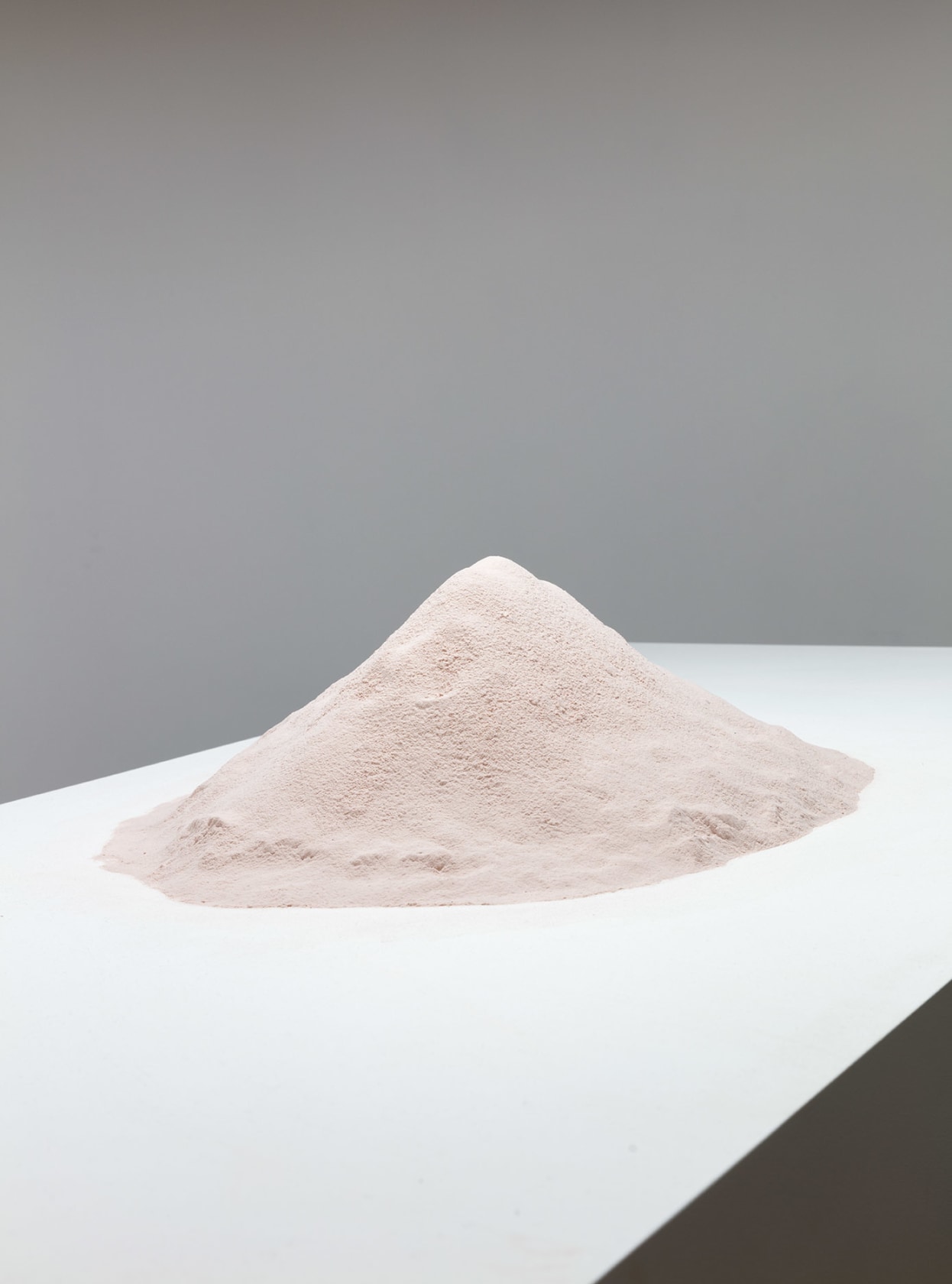 Simon Fujiwara, Foundation, 2016