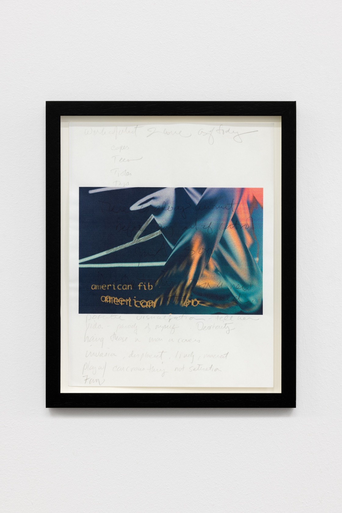 Julia Scher, American Fibroids 1, 1995/1996