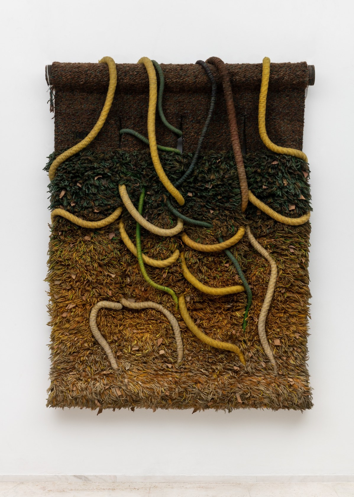 Norberto Nicola Descobrimento, 1980s