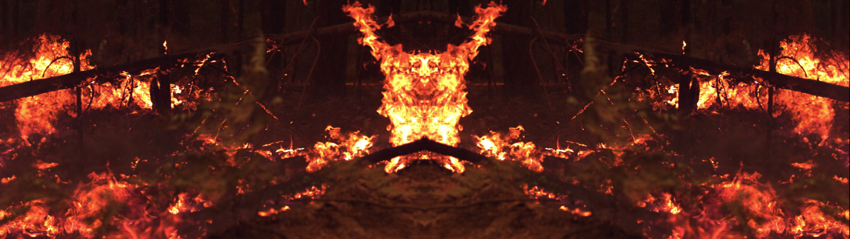 Julius von Bismarck, Fire with Fire (Video Test), 2020