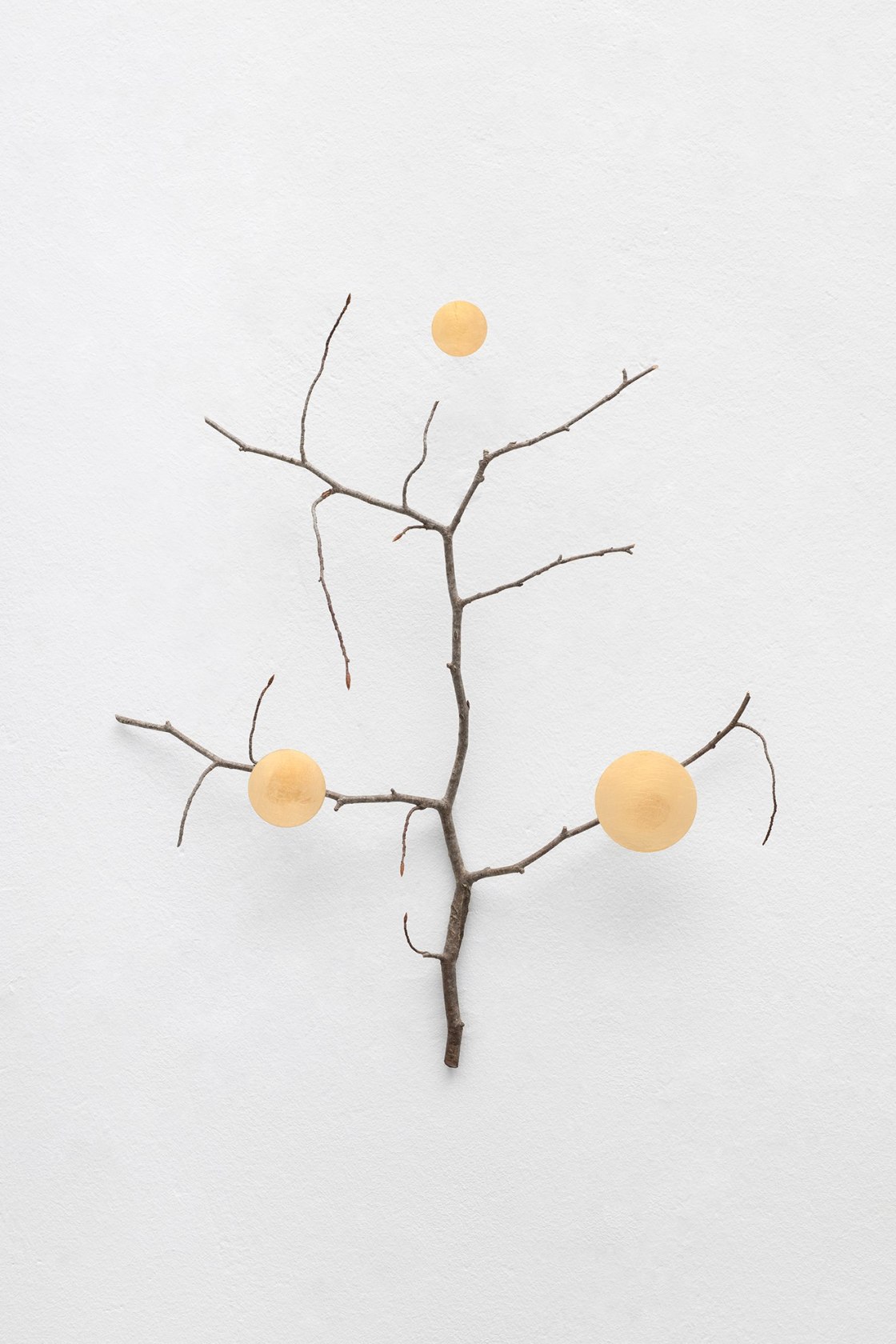 Daniel Steegmann Mangrané, Ramita with gold accents, 2025