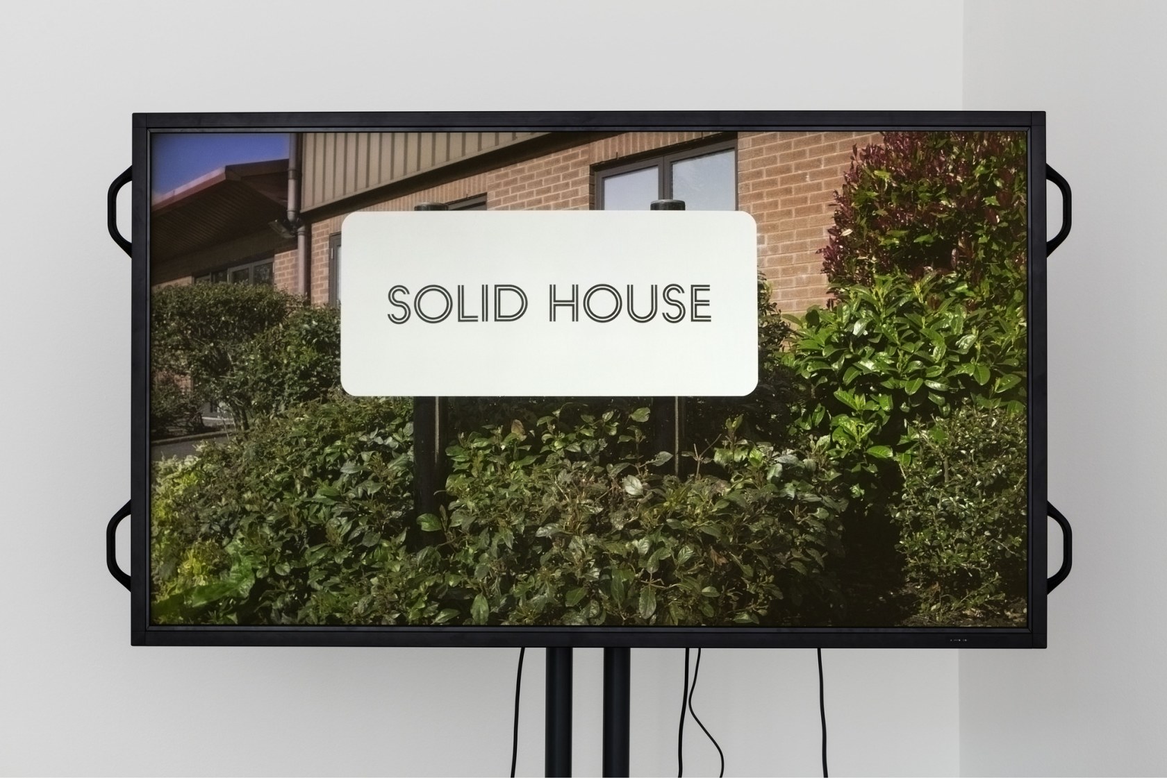 Ryan Gander, Portrait of a colour blind artist obscured by flowers, 2016