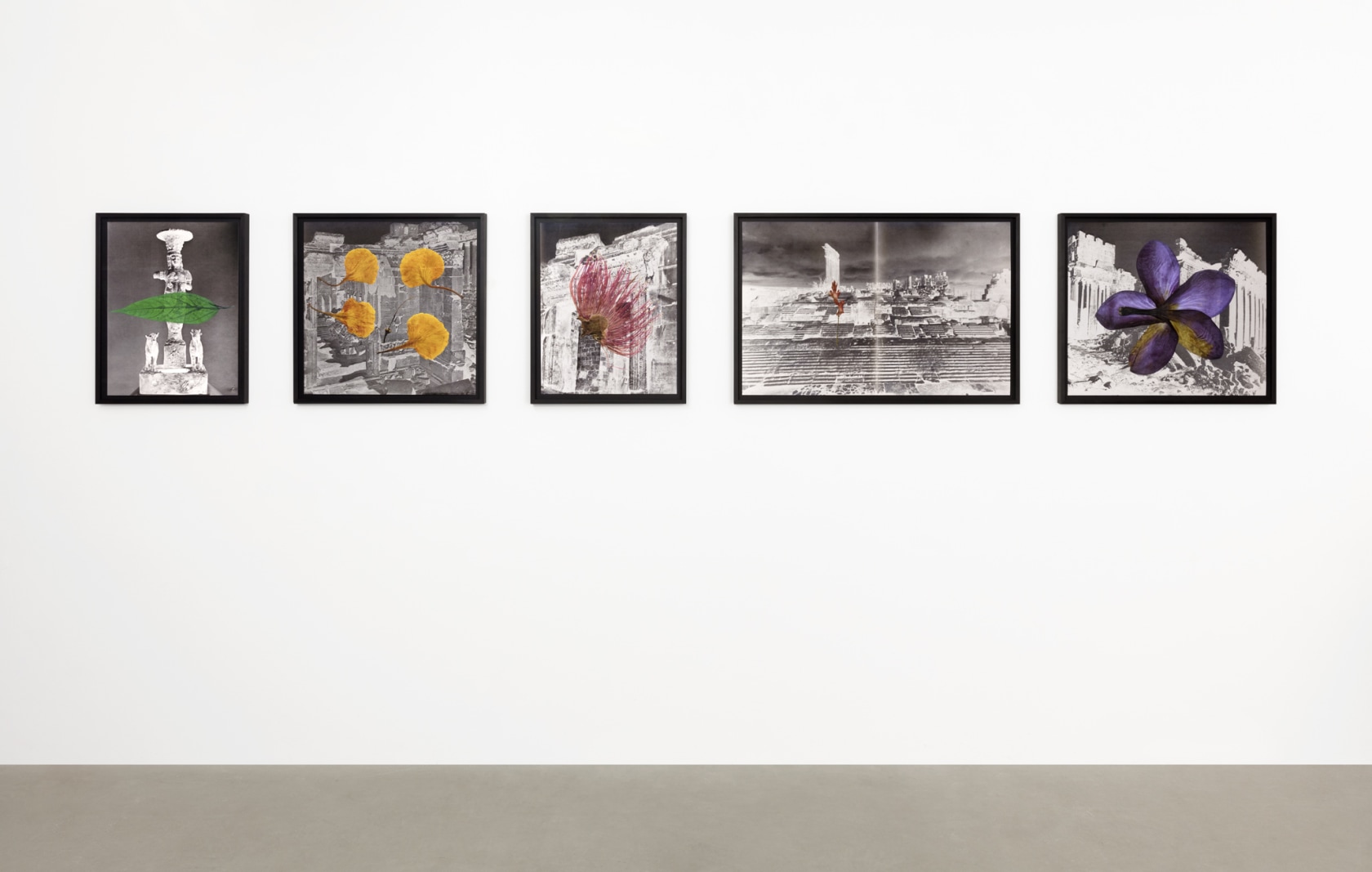 Christoph Keller, Baalbek Brazil Series, 2018