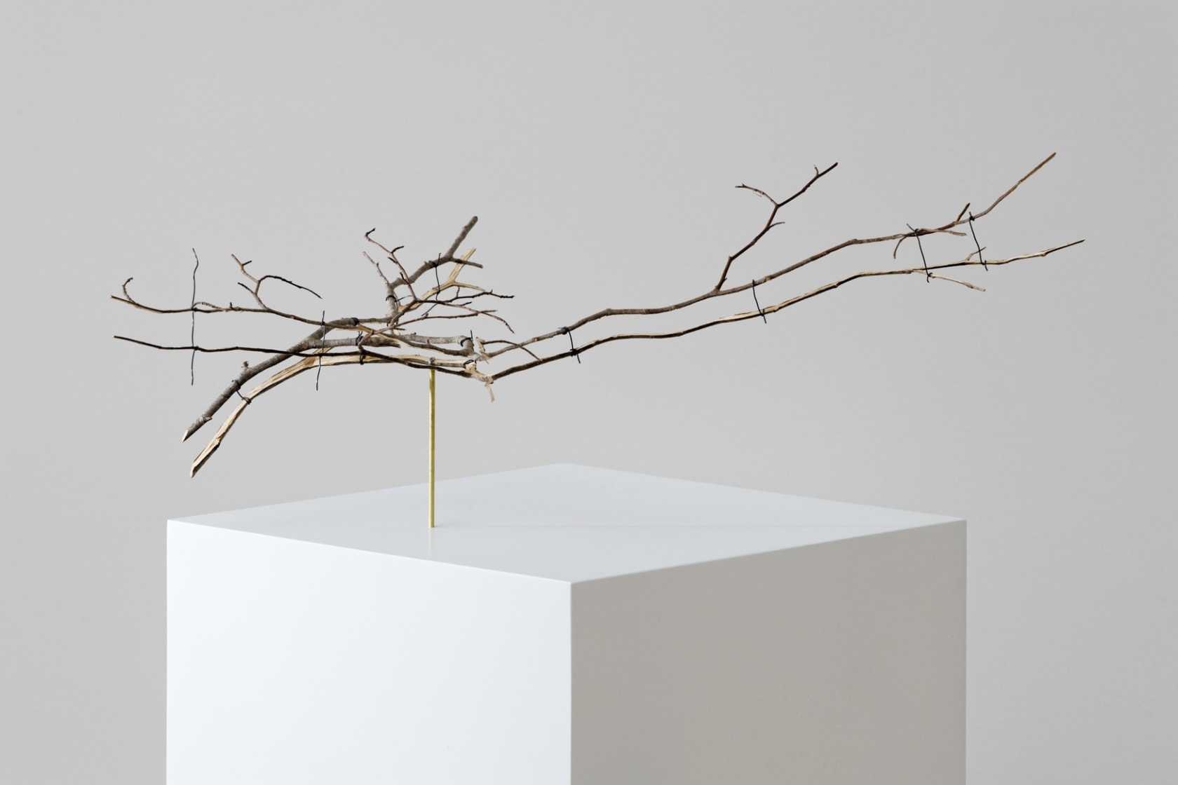 Daniel Steegmann Mangrané, Ramita Partida, 2024