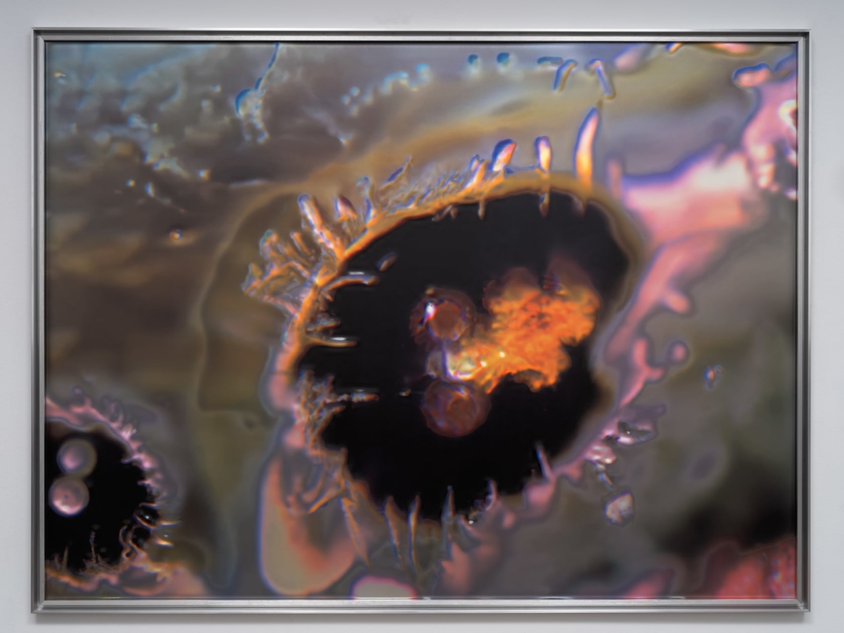 Anicka Yi, ßñ†L§ßLñ, 2024