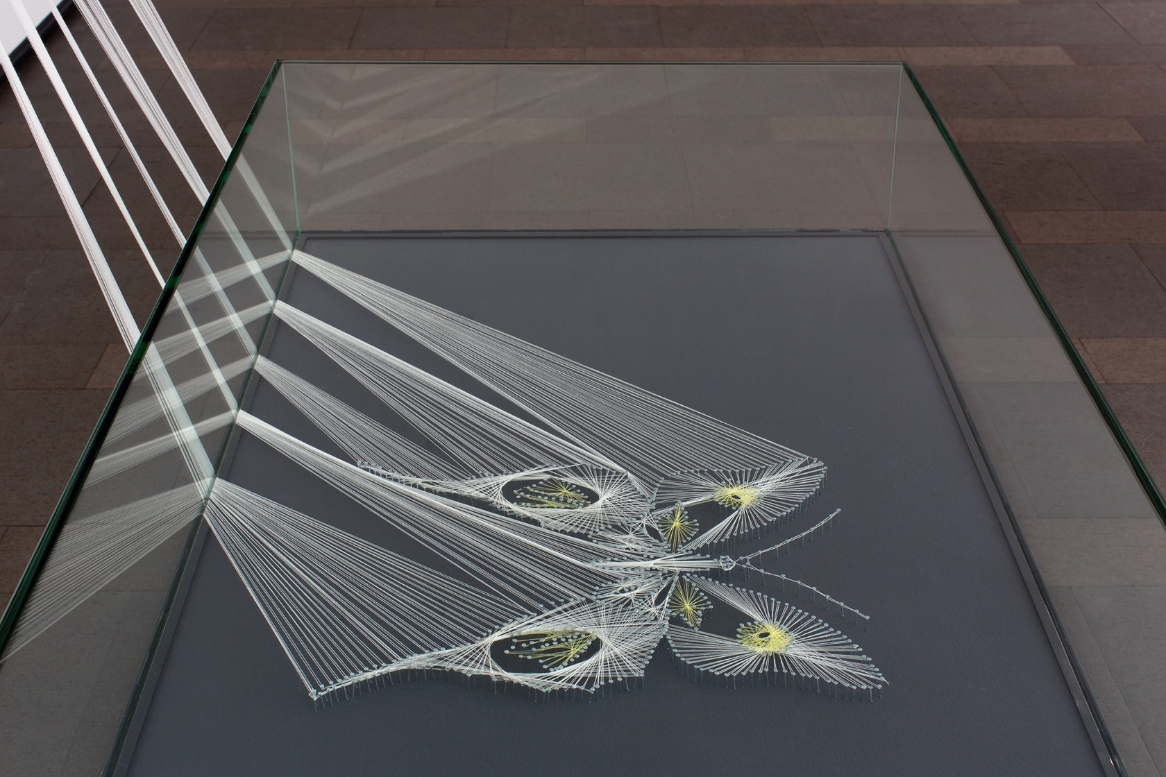 Exhibition view, Kontrastbedürfnis, Ernst Balach Haus, Hamburg, 2014