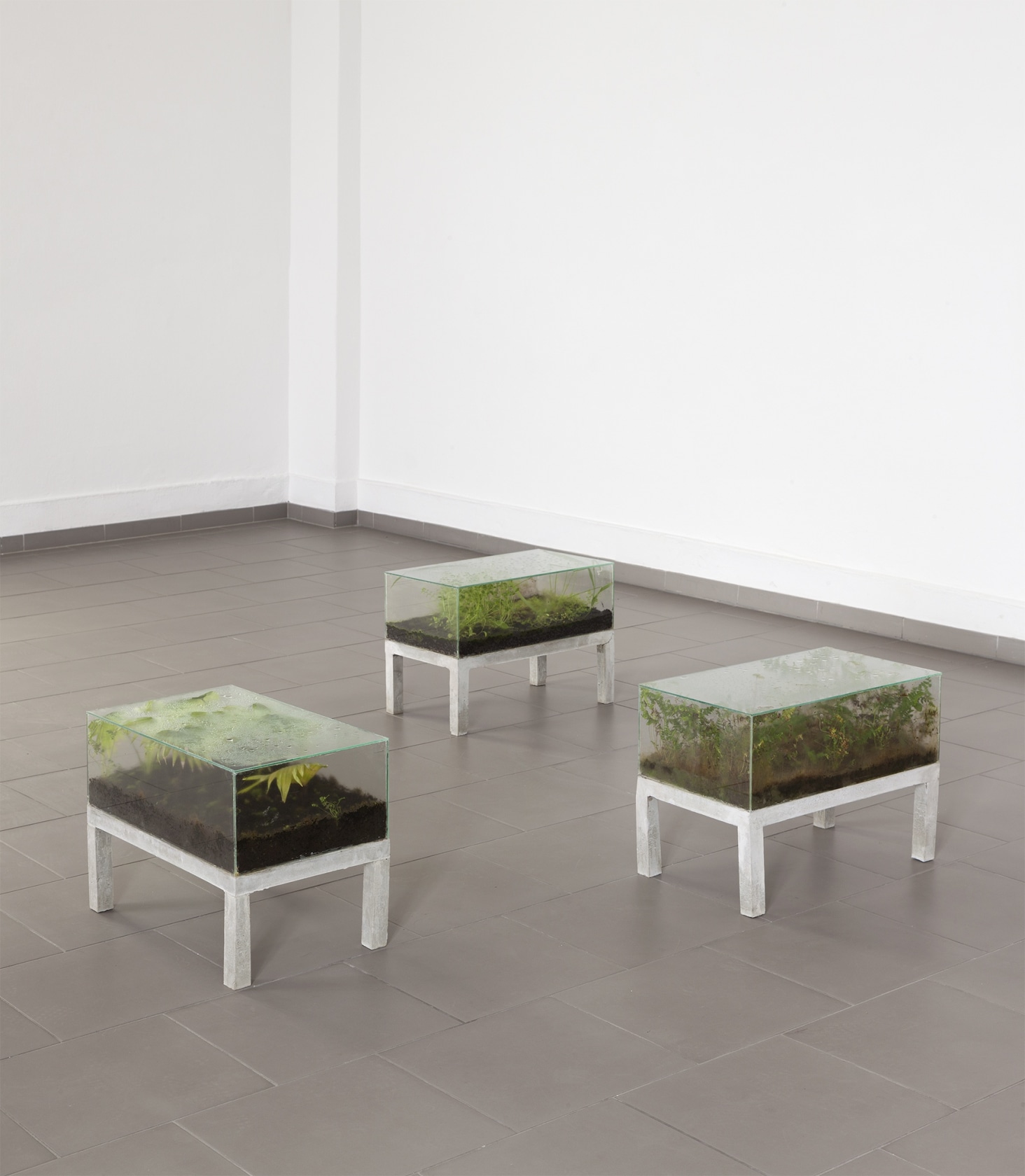 Exhibition view, Marianne Werefkin Preis Ausstellung, Haus am Kleistpark, 2015 © Andrea Rossetti