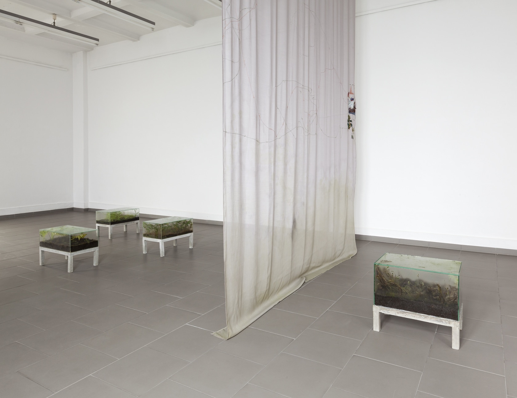Exhibition view, Marianne Werefkin Preis Ausstellung, Haus am Kleistpark, 2015 © Andrea Rossetti