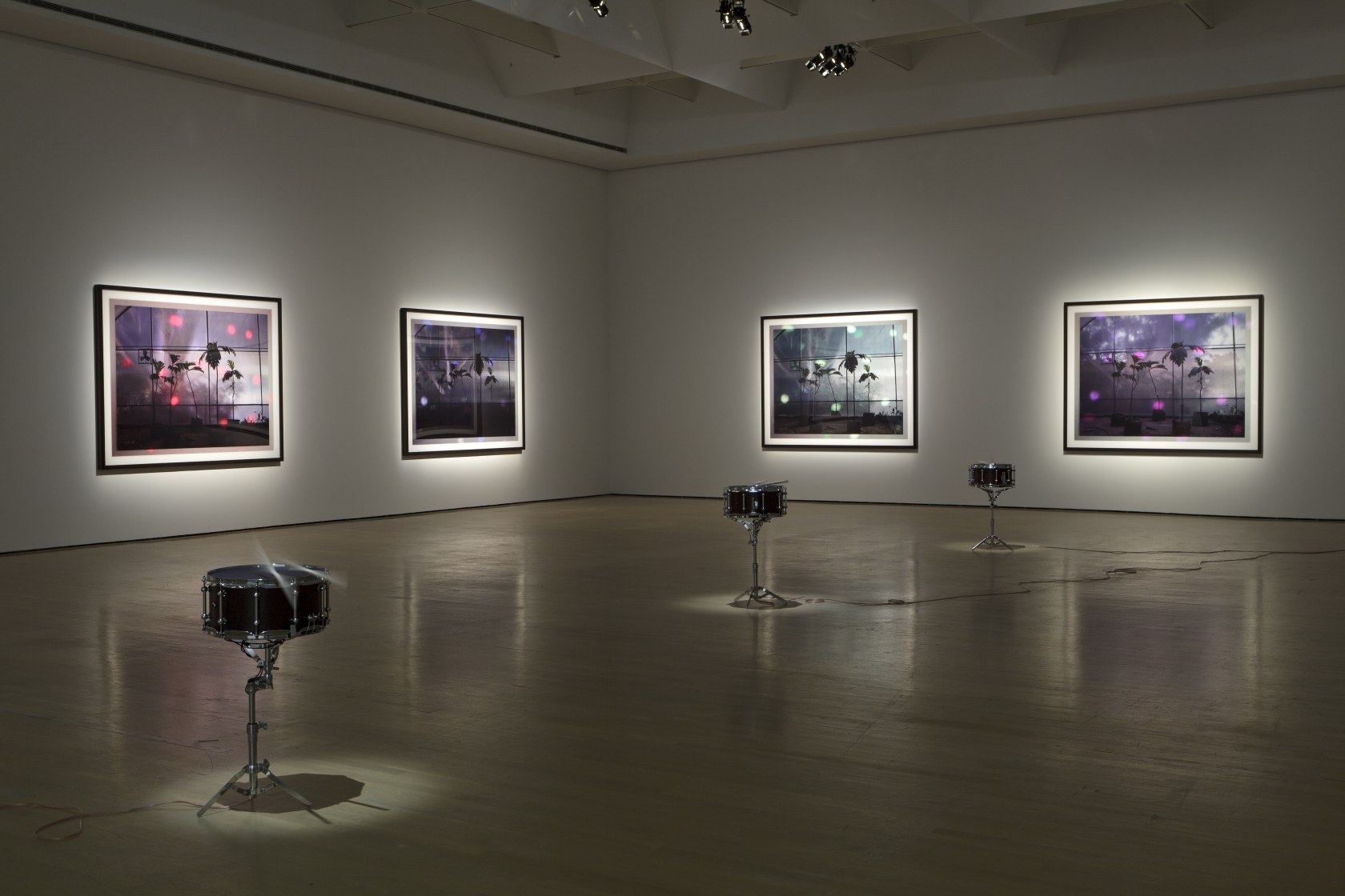 Jardin Botanico (roja, violeta, azul, bianco, verde), 2009 (on the walls) Doldrums, 2008 (on the floor) Altered Brady snare drums,...