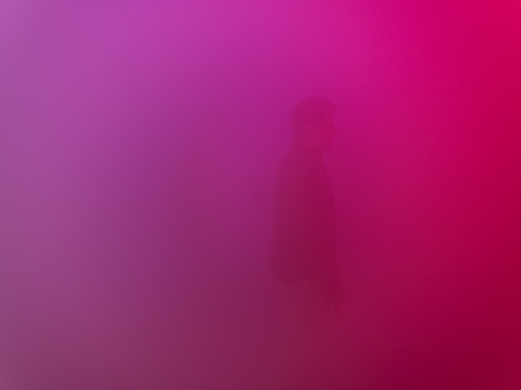 Exhibition view Are You Experienced?, 2009 Espai d’Art Contemporani de Castelló Photo © Espai d’Art Contemporani de Castelló