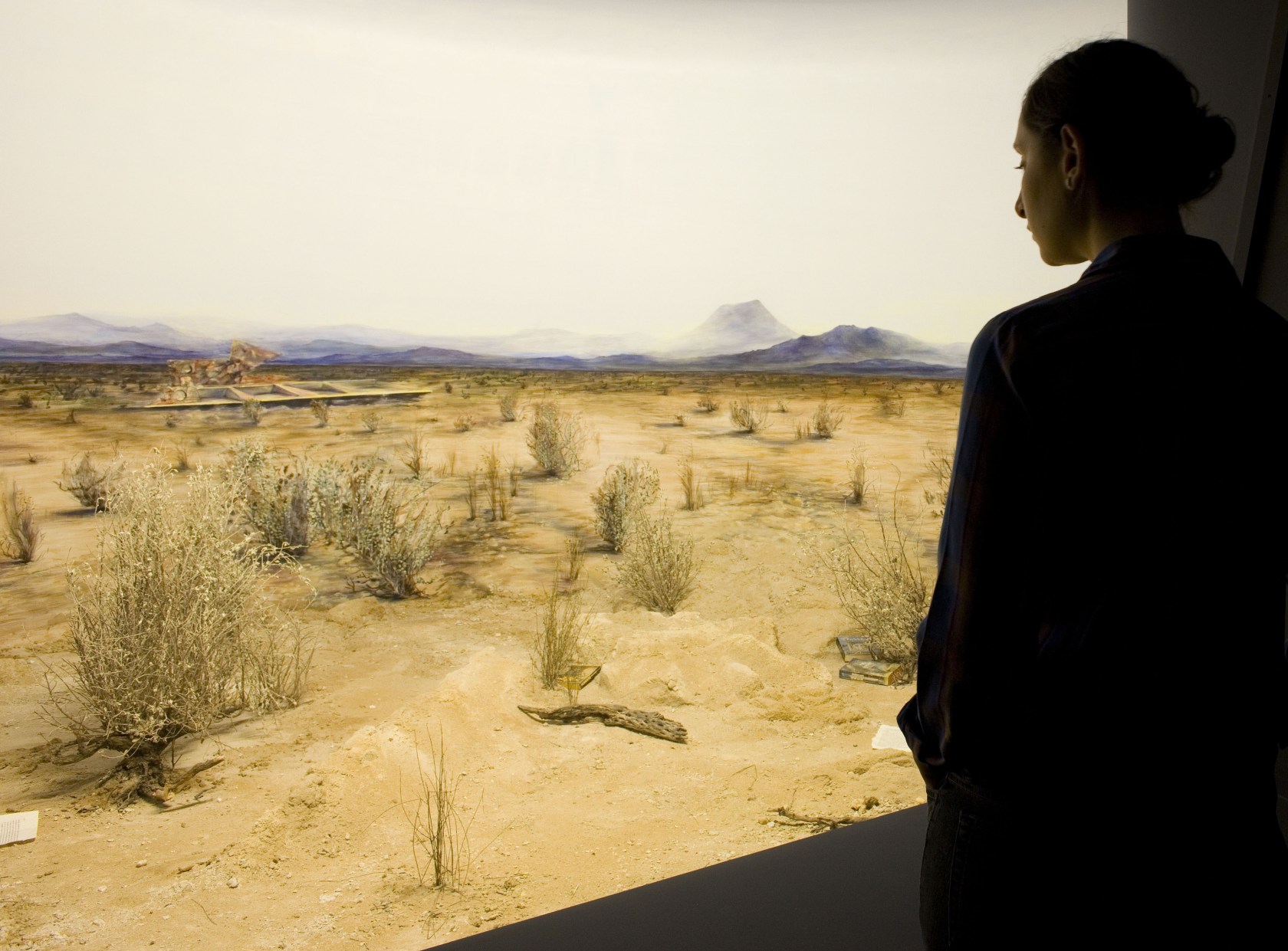 Desertic, 2009 Mixed media Inspired by traditional natural history museum displays, the dioramas depict three terrains ― the tropics, the...