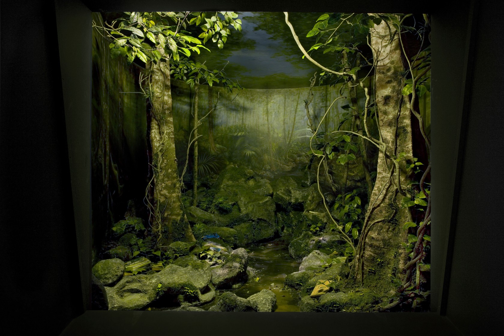 Tropical, 2009 Mixed media Inspired by traditional natural history museum displays, the dioramas depict three terrains ― the tropics, the...