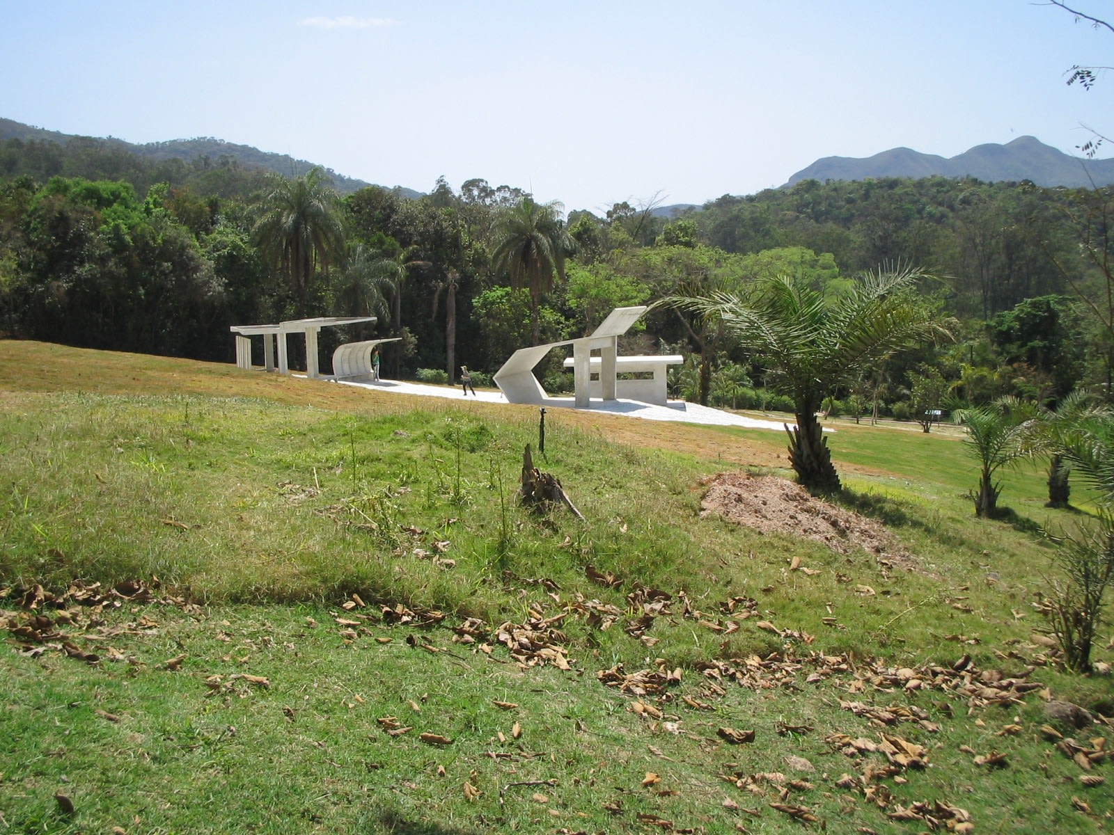 Desert Park, 2010 Concrete, sand, books Photo © the artist