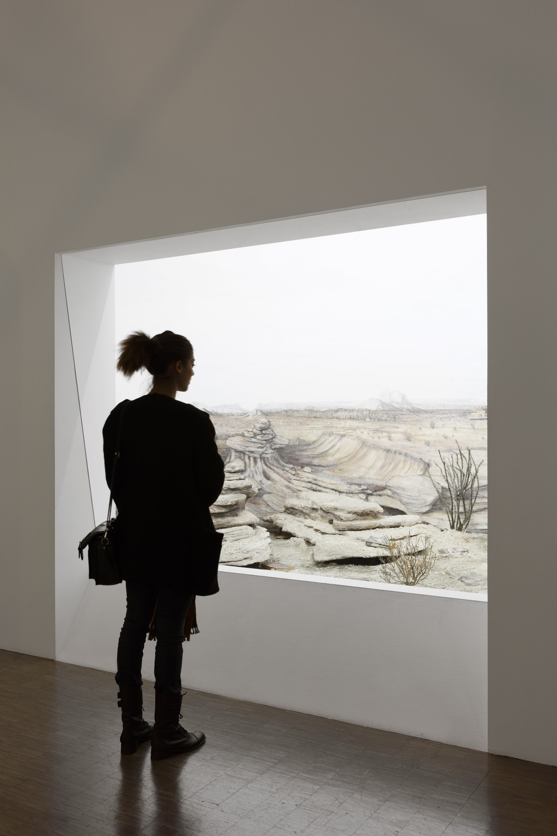 Cronotopes & Dioramas (Desertic), 2009 Mural painting, books, various components Three large-scale dioramas, inspired by traditional natural history museum displays,...