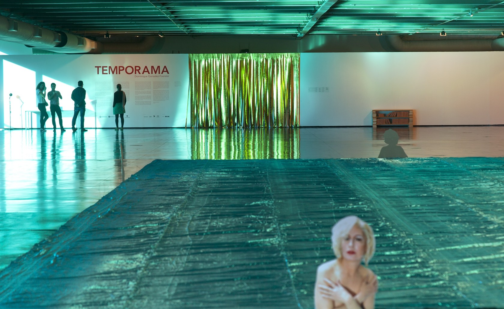 Untitled (Marilyn), 2015 Printed images on aluminum, fabric As part of a work created specially for Museu de Arte Moderna...