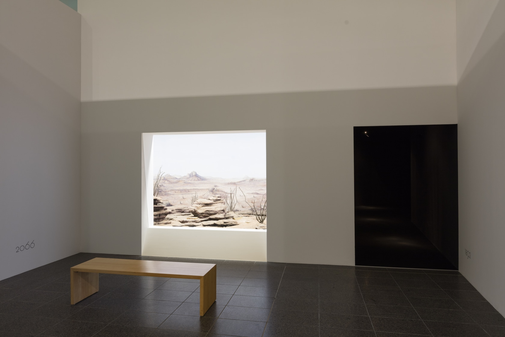 Cronotopes & Dioramas (Desertic), 2009 Mural painting, books, various components Three large-scale dioramas, inspired by traditional natural history museum displays,...