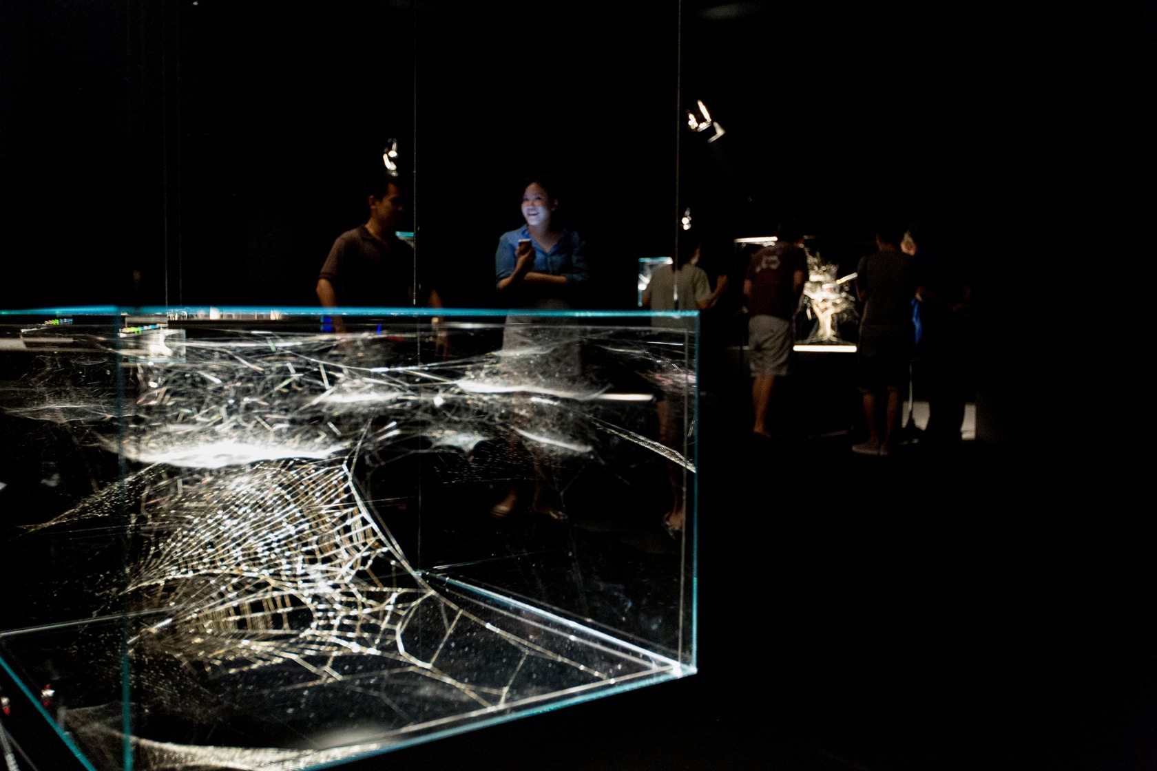Exhibition view Arachnid Orchestra. Jam Sessions, 2015 Centre for Contemporary Art Singapore Photo &copy; Andrea Rossetti