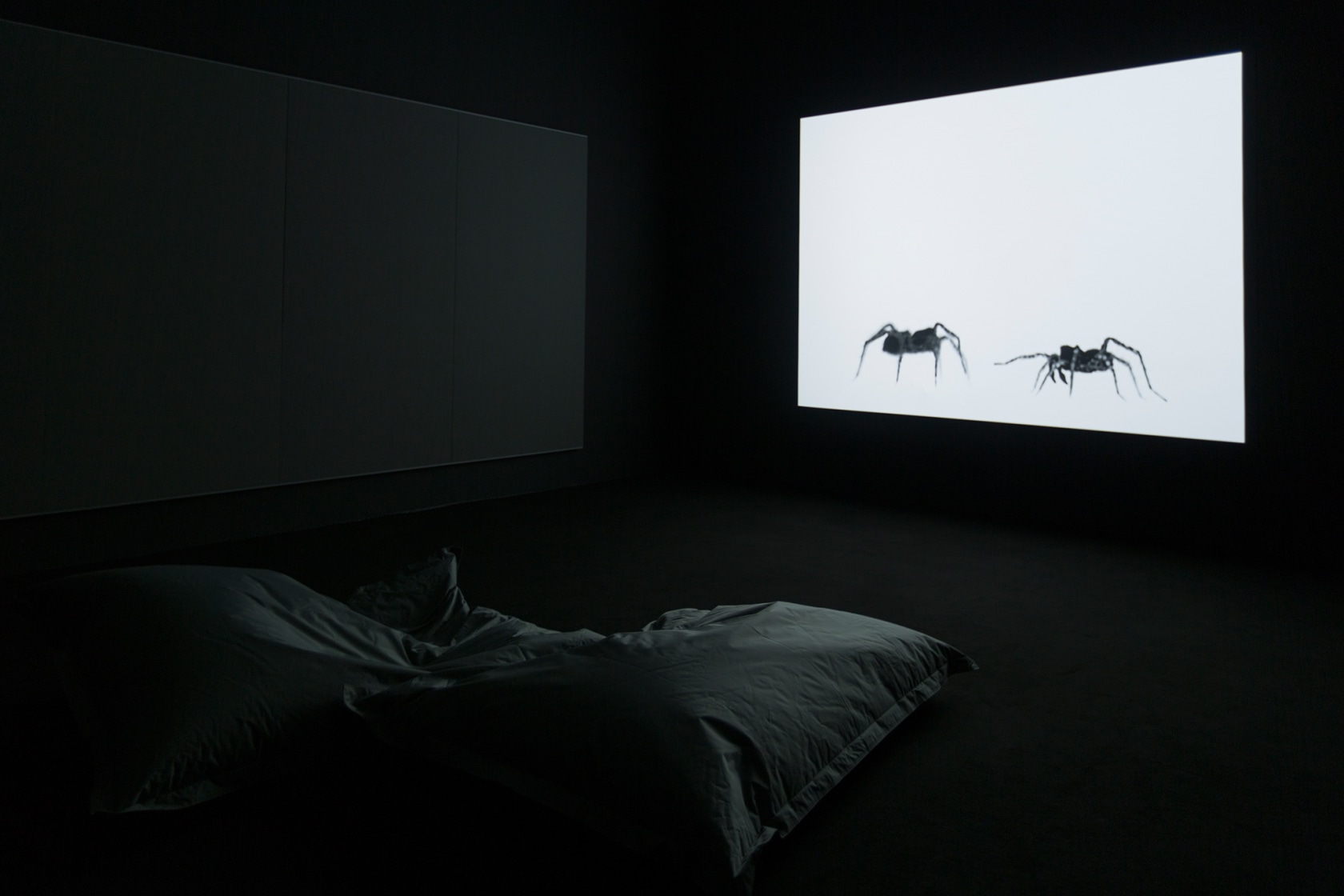 Exhibition view Arachnid Orchestra. Jam Sessions, 2015 Centre for Contemporary Art Singapore Photo &copy; Andrea Rossetti