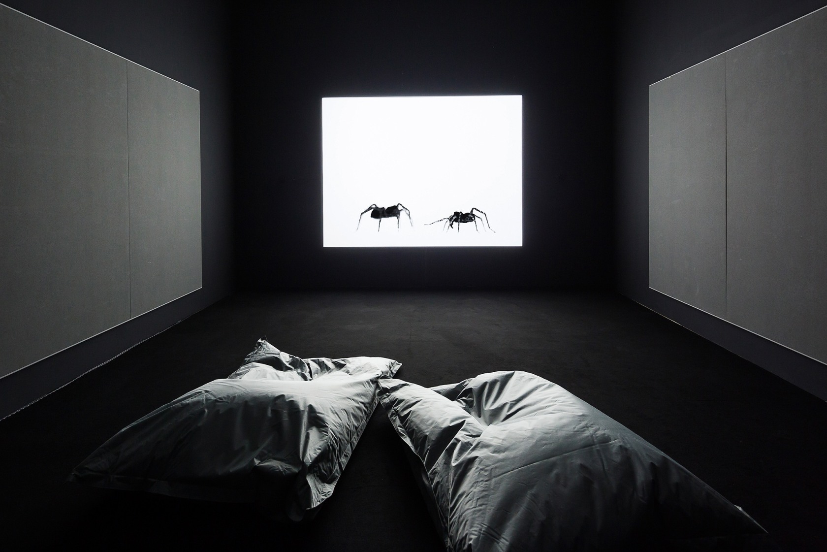 Exhibition view Arachnid Orchestra. Jam Sessions, 2015 Centre for Contemporary Art Singapore Photo &copy; Andrea Rossetti