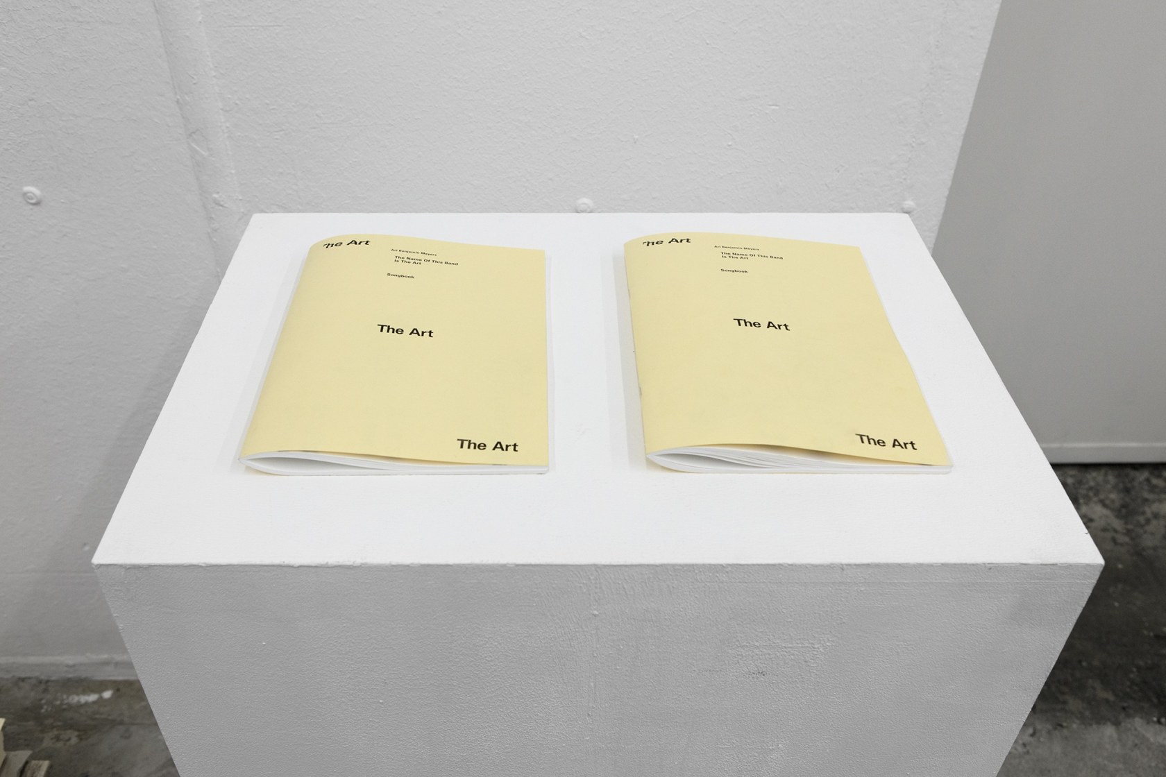 The name of this band is The Art, 2016 RaebervonStenglin, Zürich