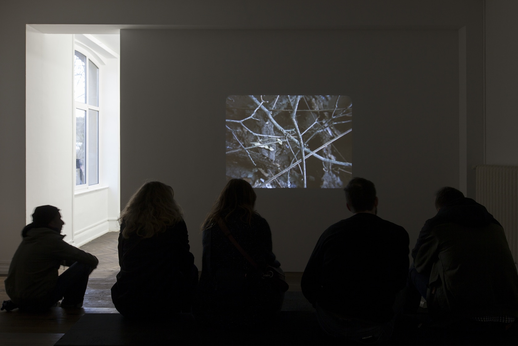 Phasmides, 2012 16 mm film transferred to HD video, color, mute For this work, the artist built a habitat with...