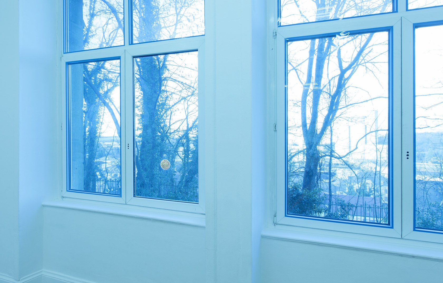 Rosa Entrado, 2014 Photographic filter on window with circular cutout Photo © Andrea Rossetti