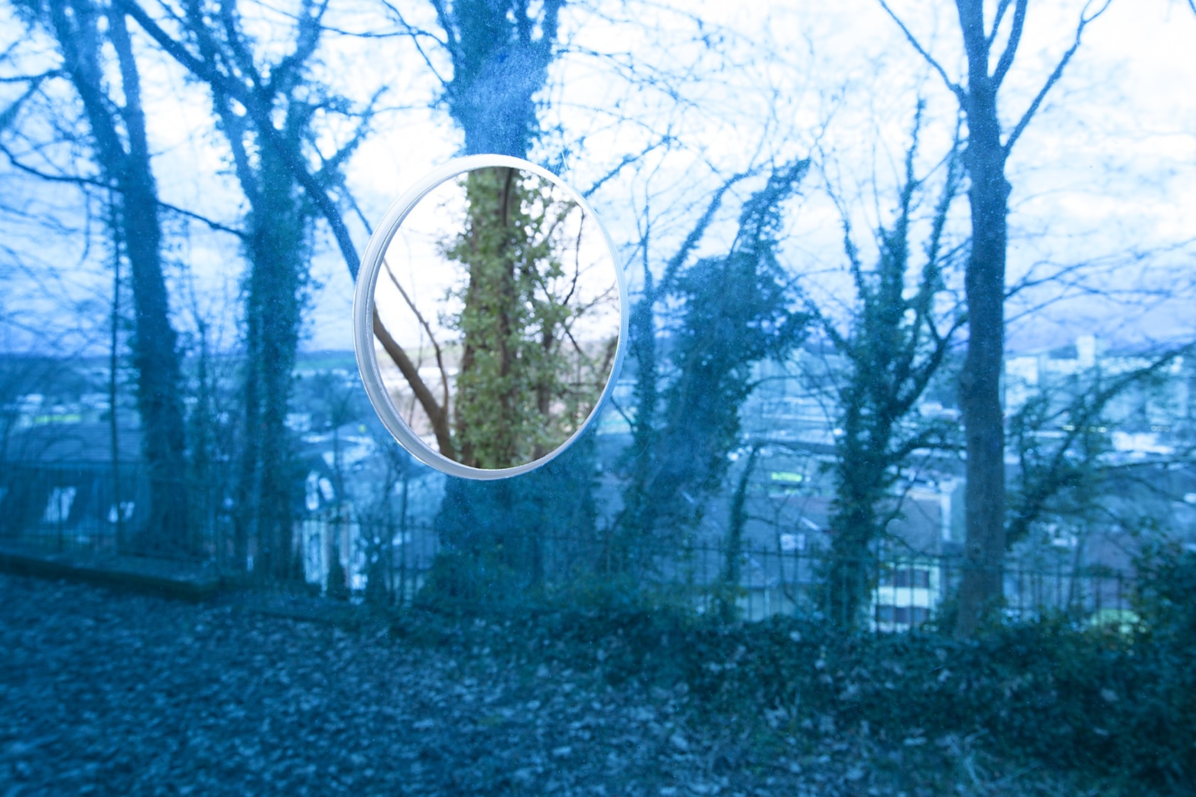 Rosa Entrado, 2014 Photographic filter on window with circular cutout Photo © Andrea Rossetti
