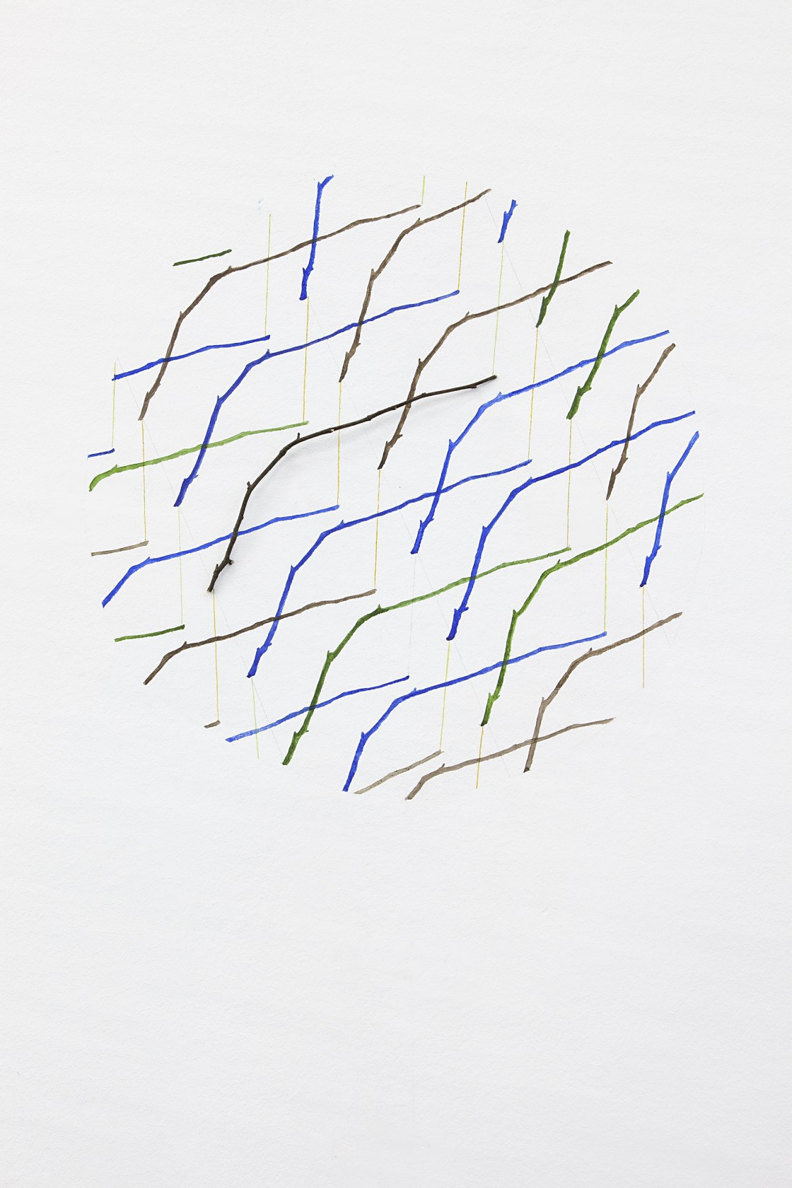 Morfogenesis / crispis, 2014 Wall drawing, watercolor, linden branch The wall drawing, made up of scale images of the twig...