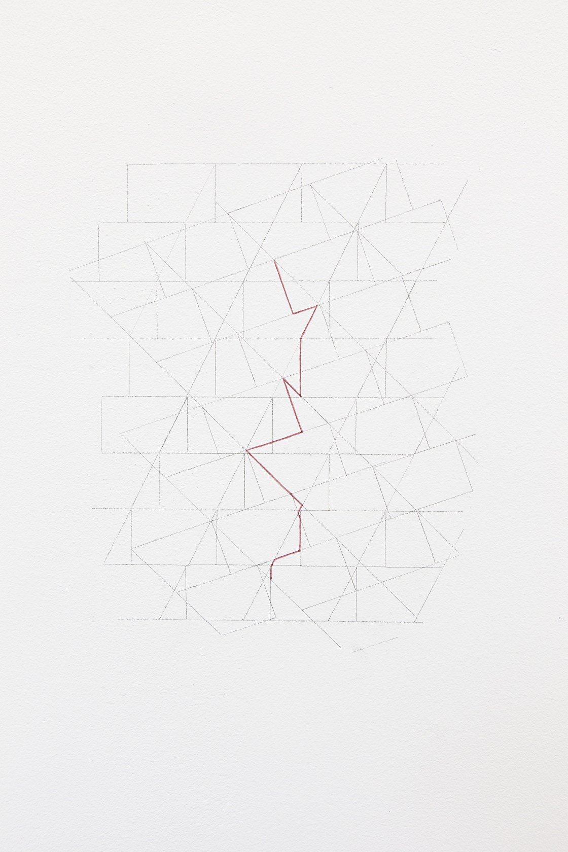 Morfogenesis / crispis, 2014 Wall drawing, watercolor, linden branch Photo © Andrea Rossetti