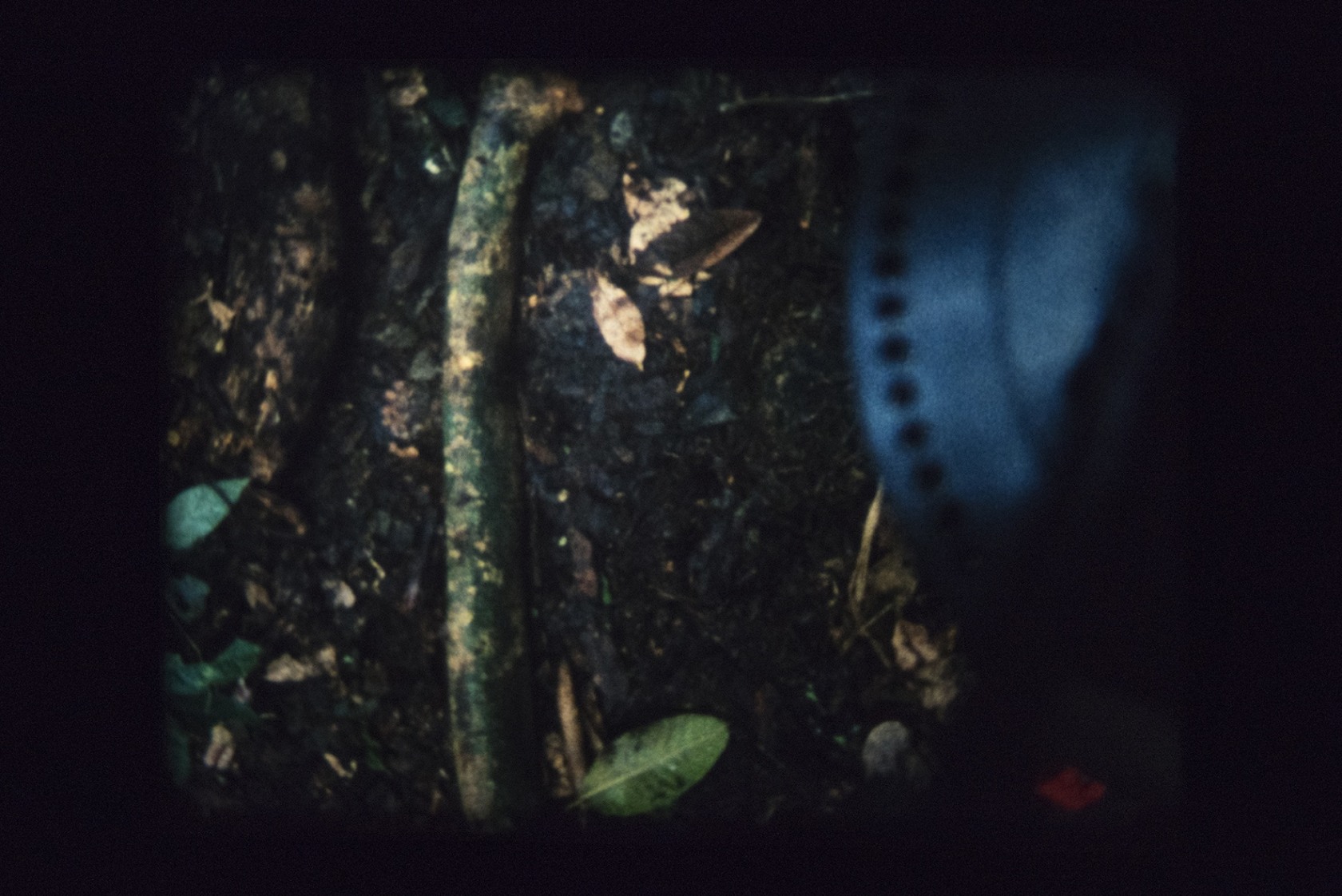 Exhibition view Did Not Want to Have Human Form, Human Flesh or Human Matter, 2016 The Green Parrot, Barcelona Photo...