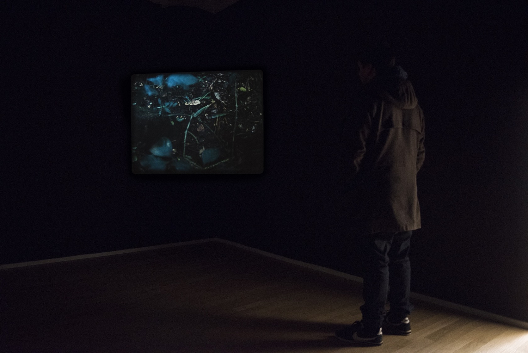 Exhibition view Did Not Want to Have Human Form, Human Flesh or Human Matter, 2016 The Green Parrot, Barcelona Photo...