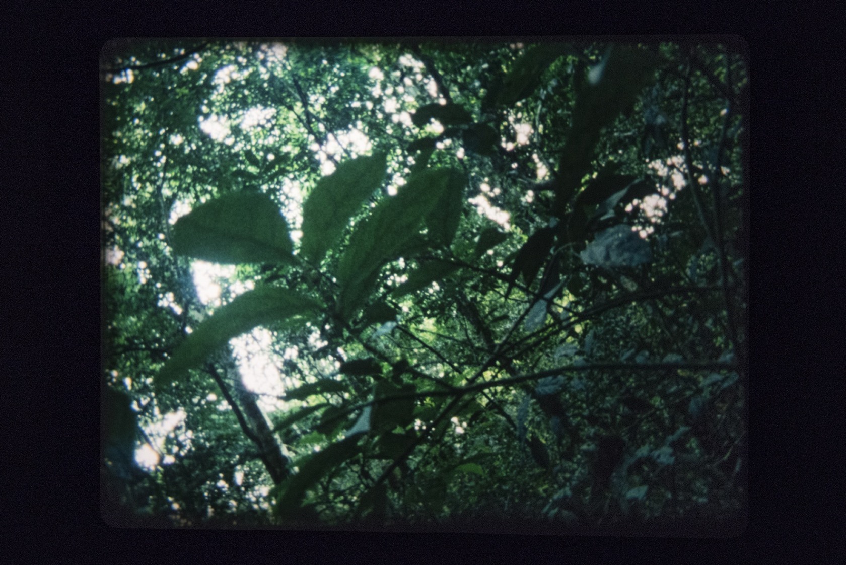 Exhibition view Did Not Want to Have Human Form, Human Flesh or Human Matter, 2016 The Green Parrot, Barcelona Photo...