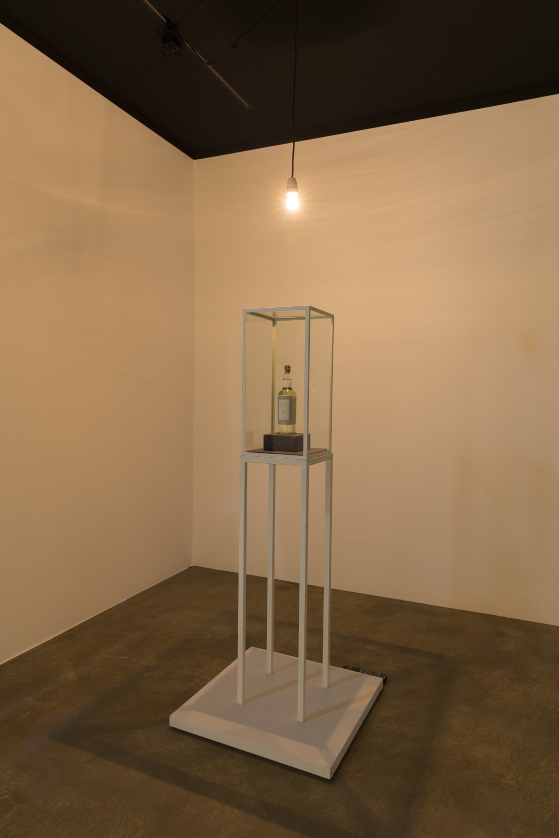 Exhibition view Rodney Graham, 2015 Sammlung Goetz, Munich Photo © Thomas Dashuber