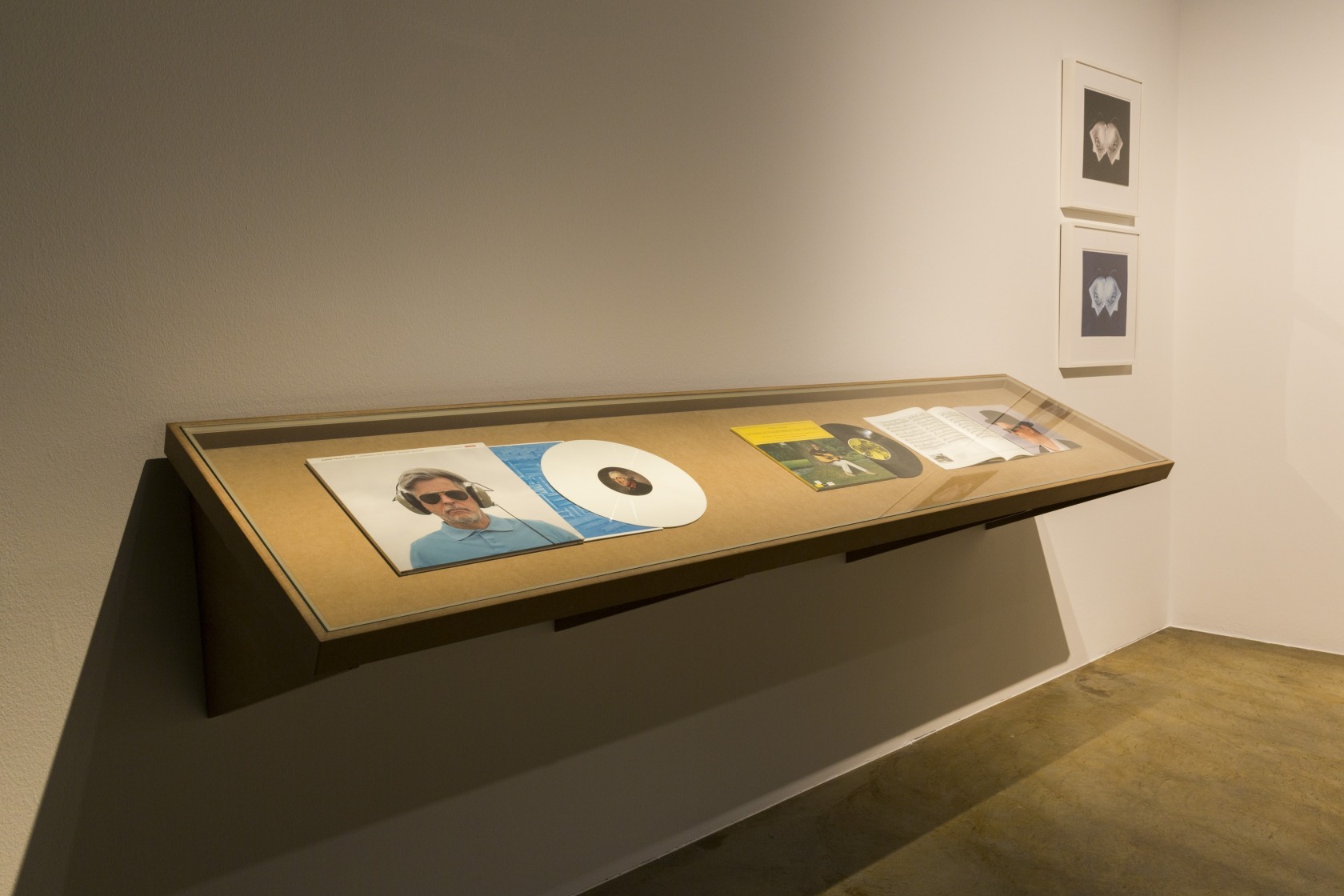 Exhibition view Rodney Graham, 2015 Sammlung Goetz, Munich Photo © Thomas Dashuber