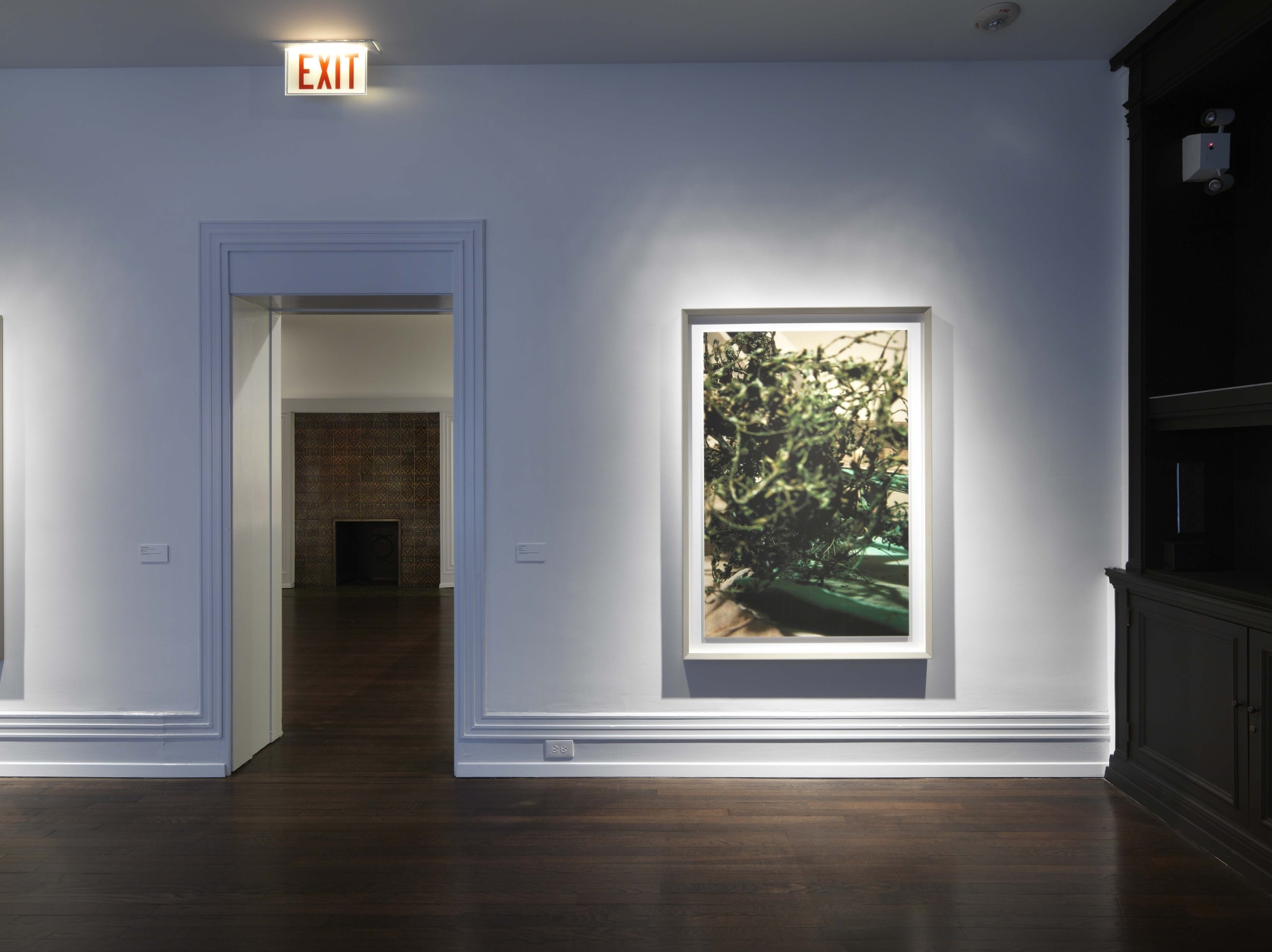 Wood #13, 2011 Pigment print The Model Studies are the result of a residency at the Getty Research Institute in...