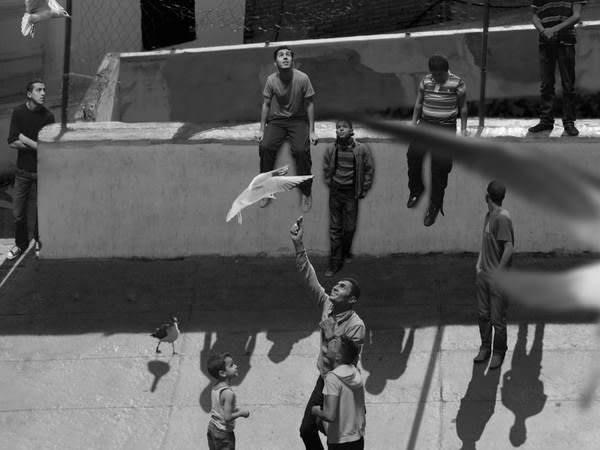 The Algiers' Sections of a Happy Moment, 2008 Single channel video projection, black & white, stereo audio Duration 37 mins,...