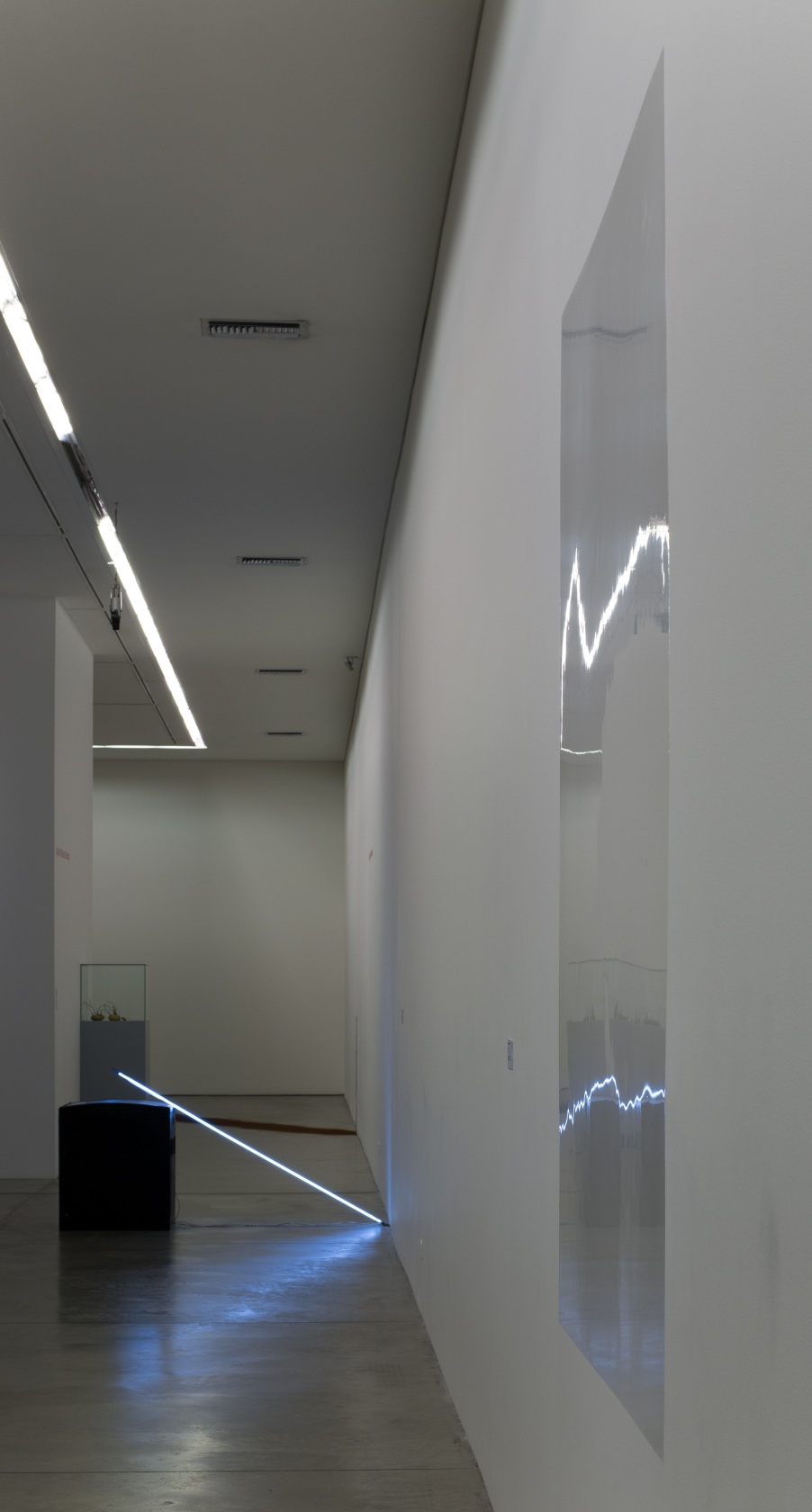 Exhibition view Karin Sander at To Know Not To Know, 2013 43rd Colombia Biennial, Medellín Photo © Victor Robledo