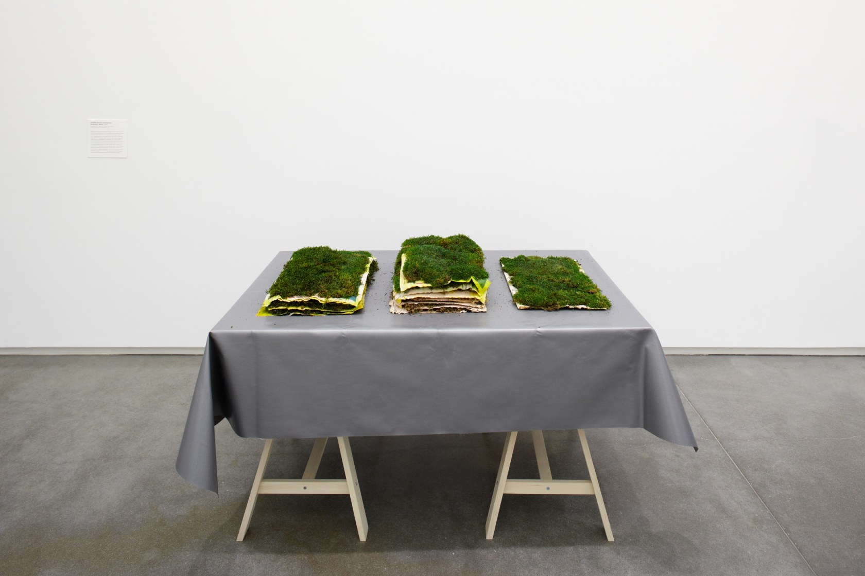 Exhibition view Nobody Needs To Know The Price Of Your Saab, 2011 Institute of Contemporary Art, Boston Photo © John...