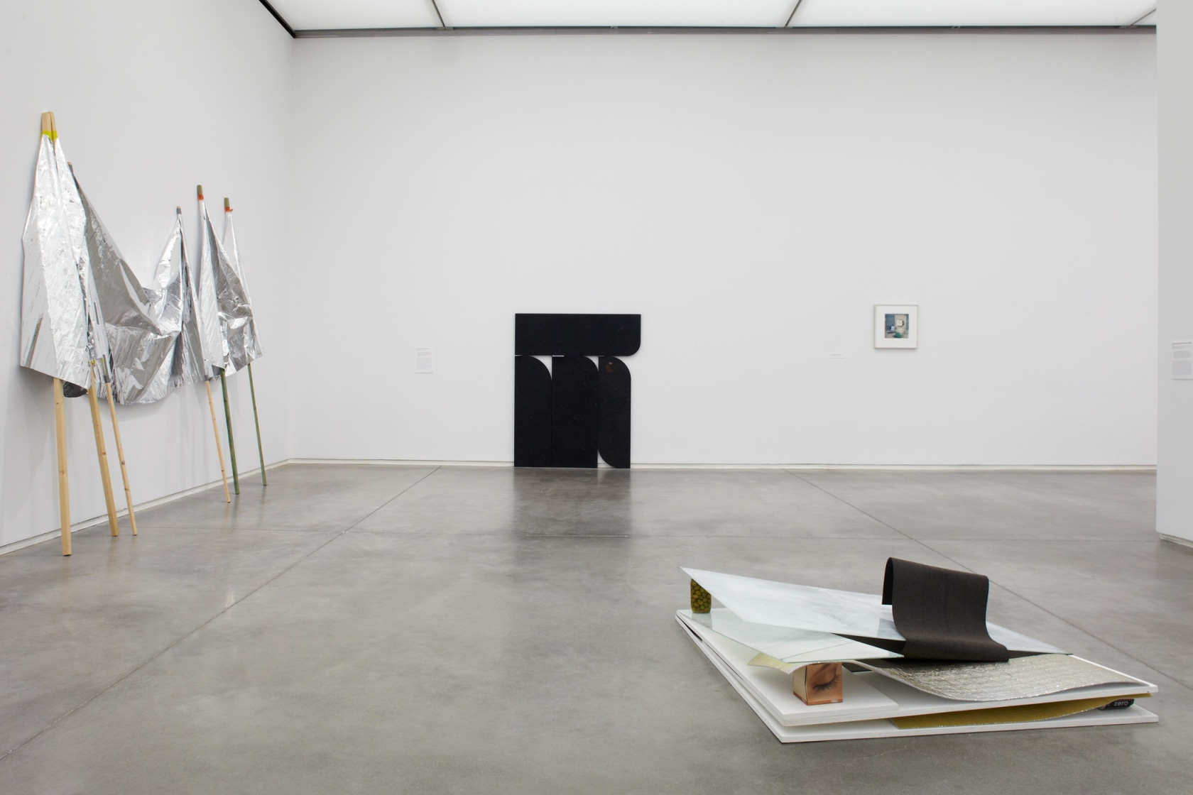 Exhibition view Nobody Needs To Know The Price Of Your Saab, 2011 Institute of Contemporary Art, Boston Photo © John...