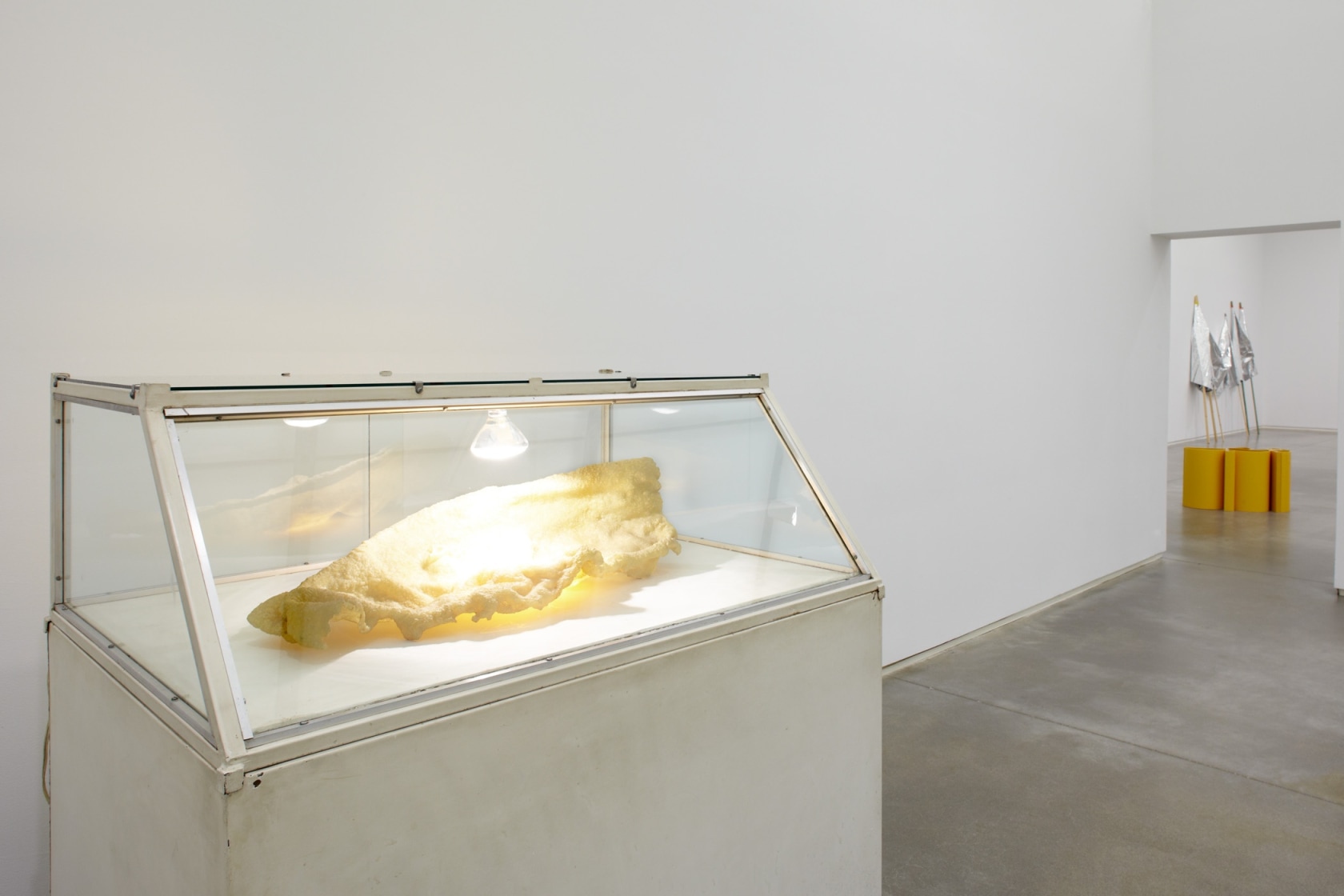 Exhibition view Nobody Needs To Know The Price Of Your Saab, 2011 Institute of Contemporary Art, Boston Photo © John...