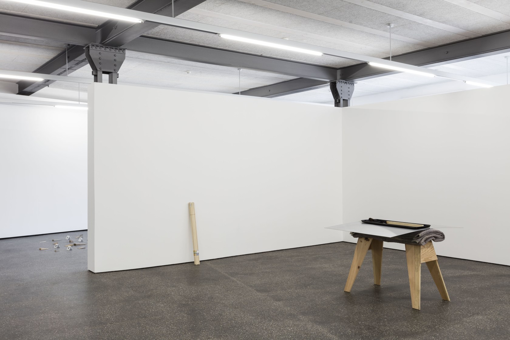 Untitled (Balance Over Consumption), 2016 (foreground) Wood, blanket, plastic tray The work consists of an assemblage of ready-made objects piled...